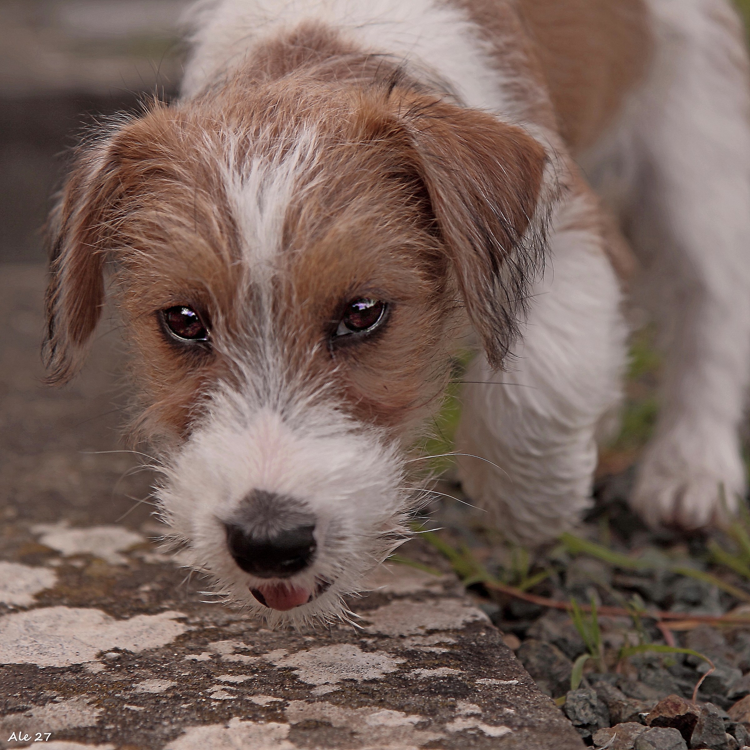.. A little thunder .... Thor ...