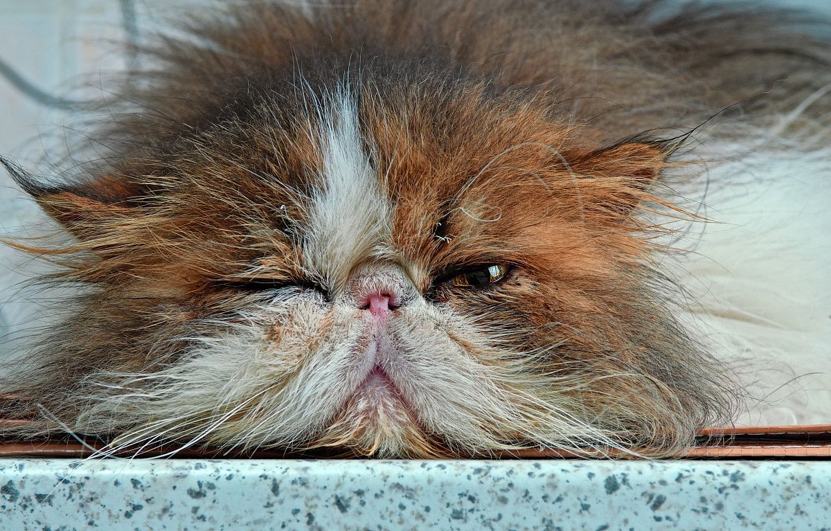 The Eye of Sauron sees you .....