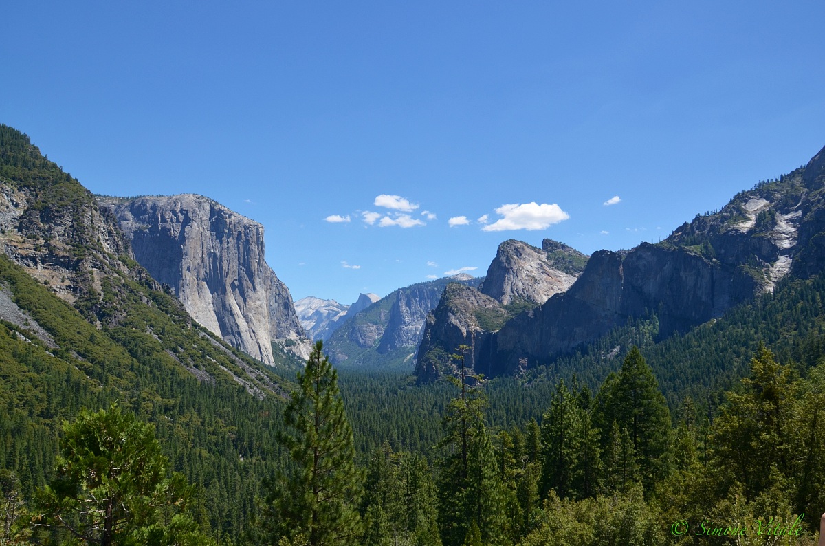 Yosemite Park