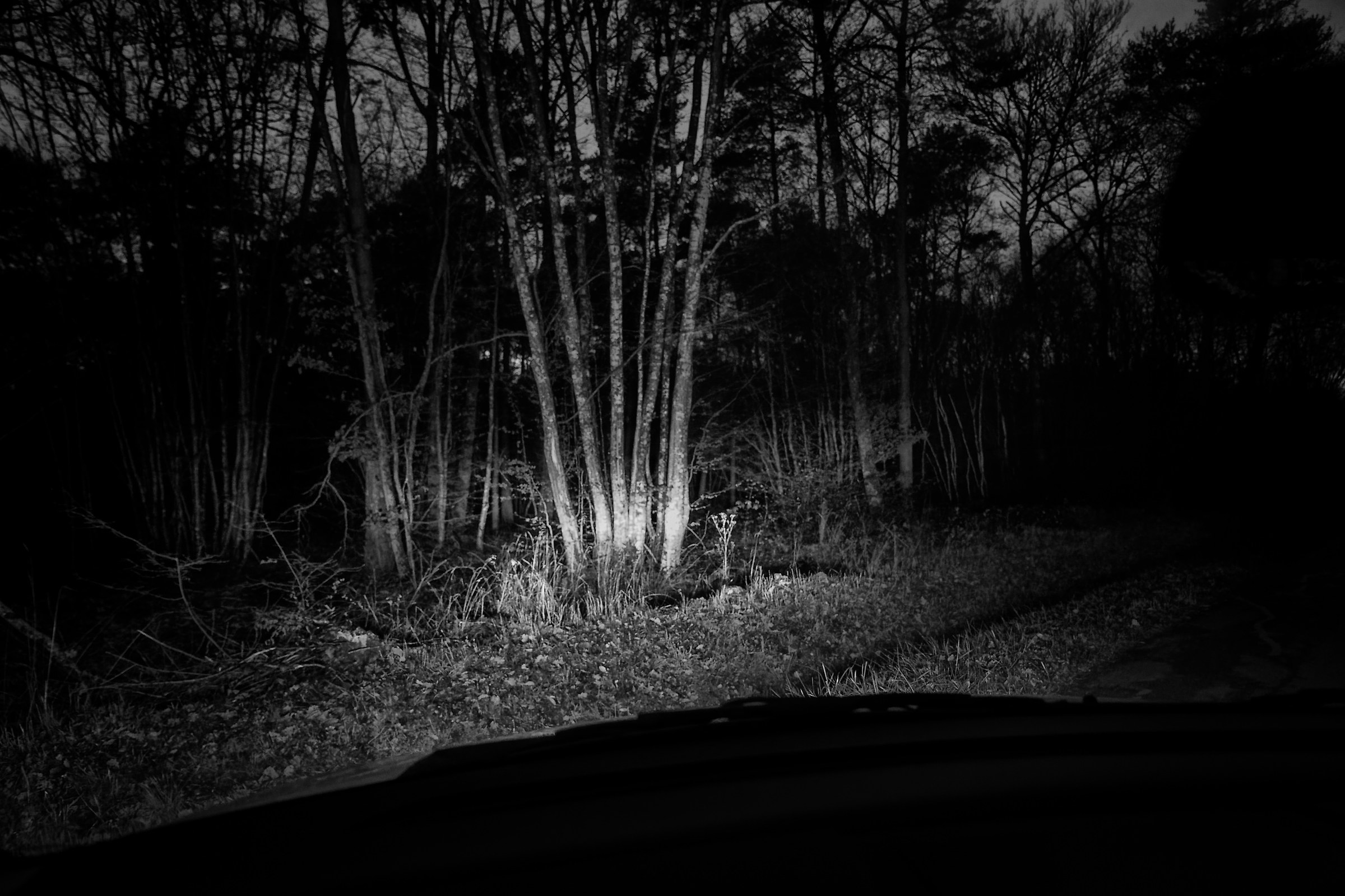 Night Landscapes 005