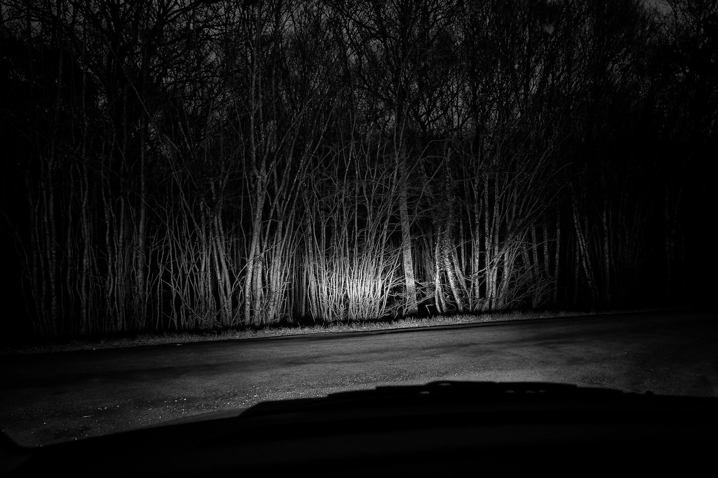 Night Landscapes 004