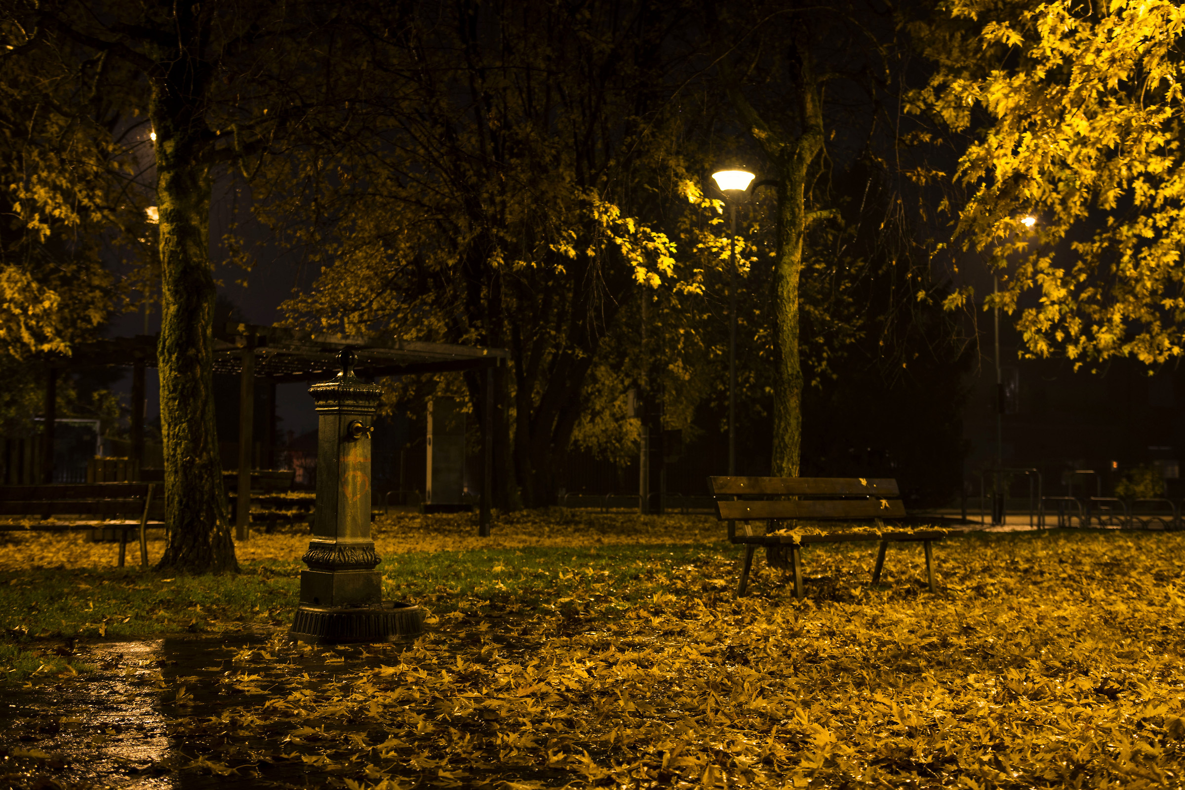 Desolazione autunnale