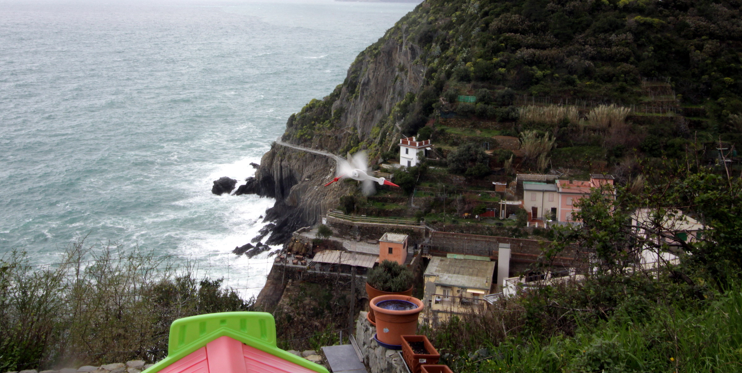 7930 "Strange Bird in Riomaggiore"