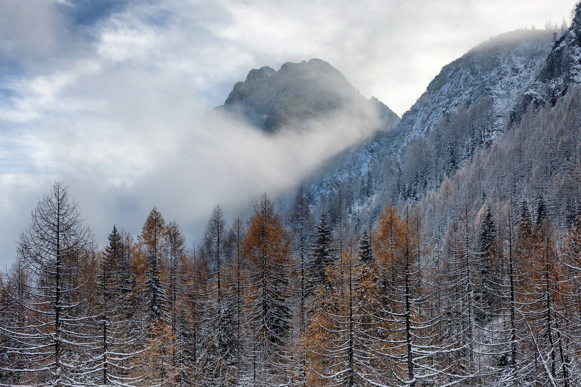 L'autunno finisce con la prima neve. Alpi Giulie.