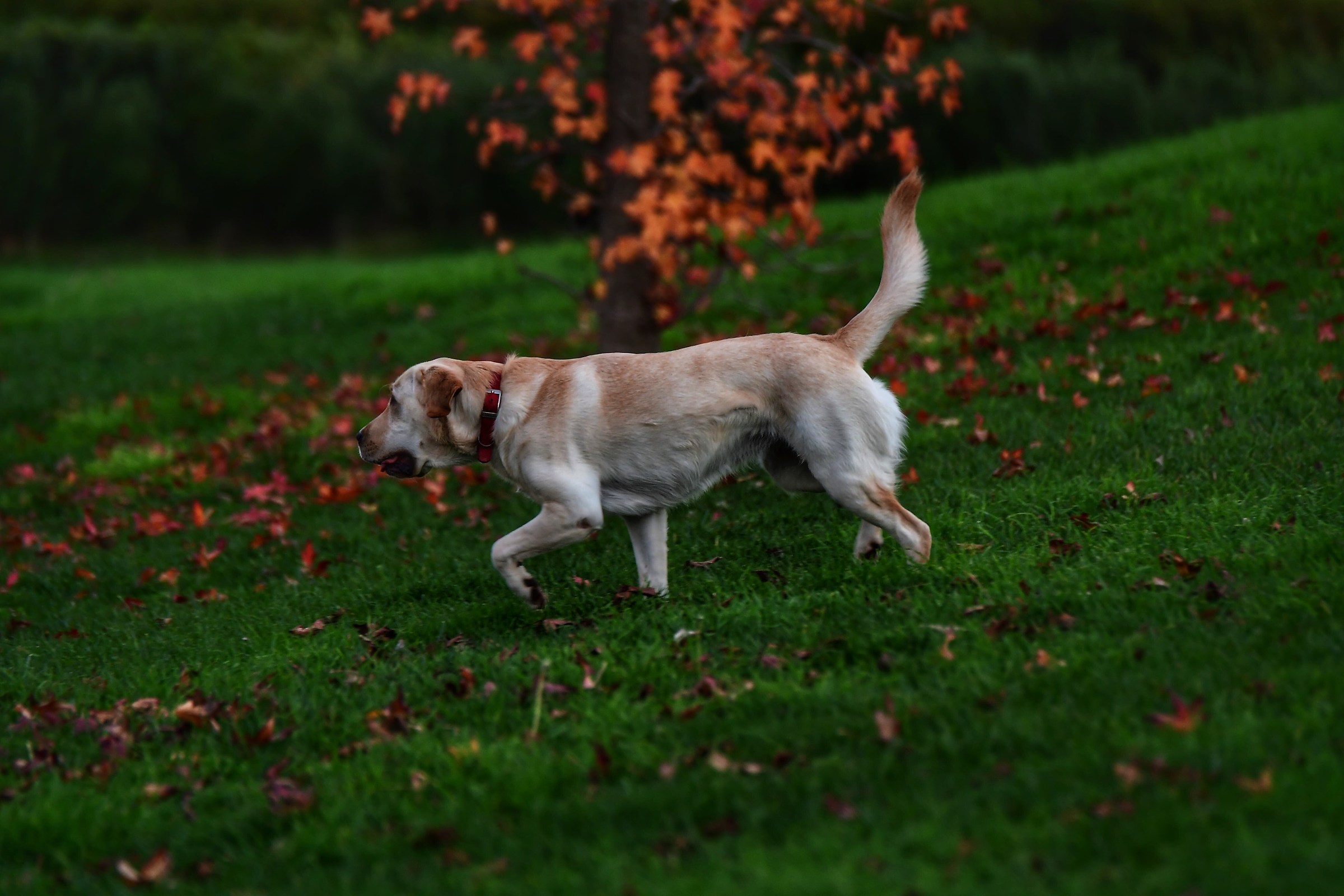 Where are you going?!?!?