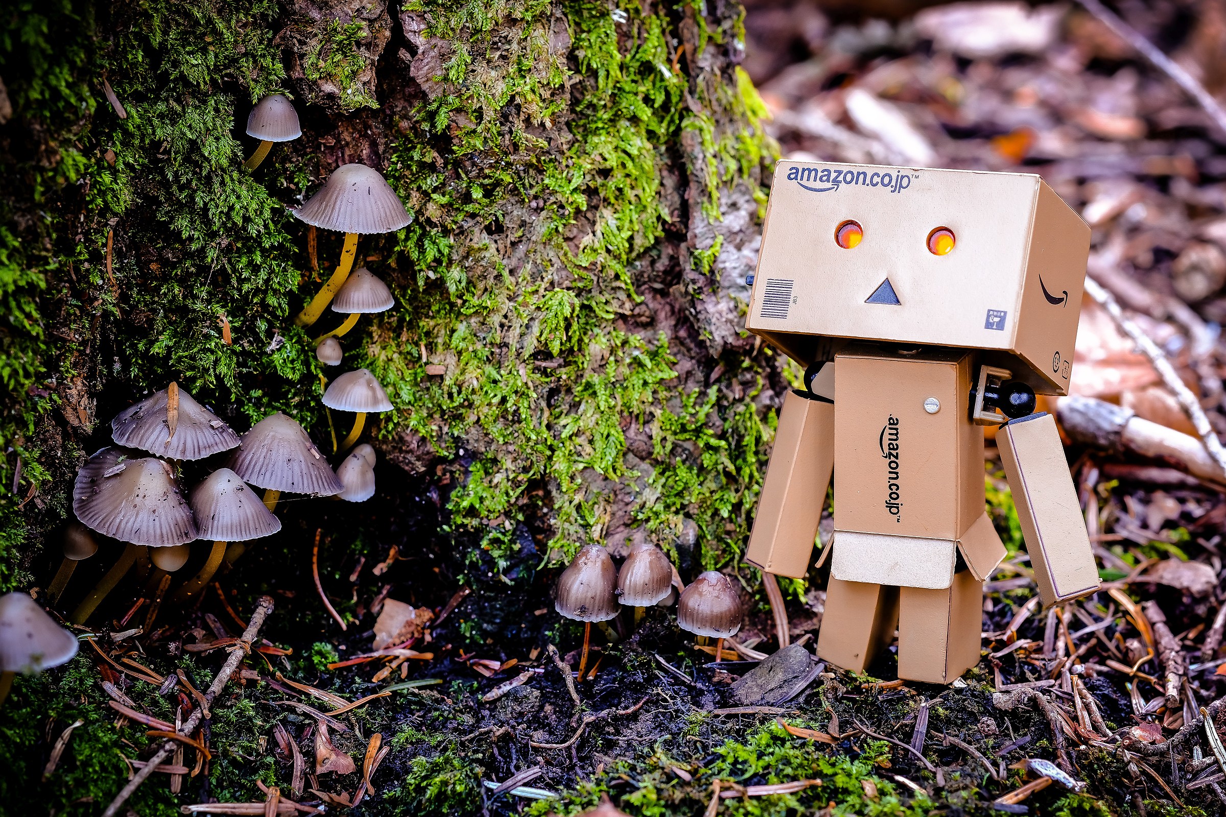 The anticipation of Black Friday