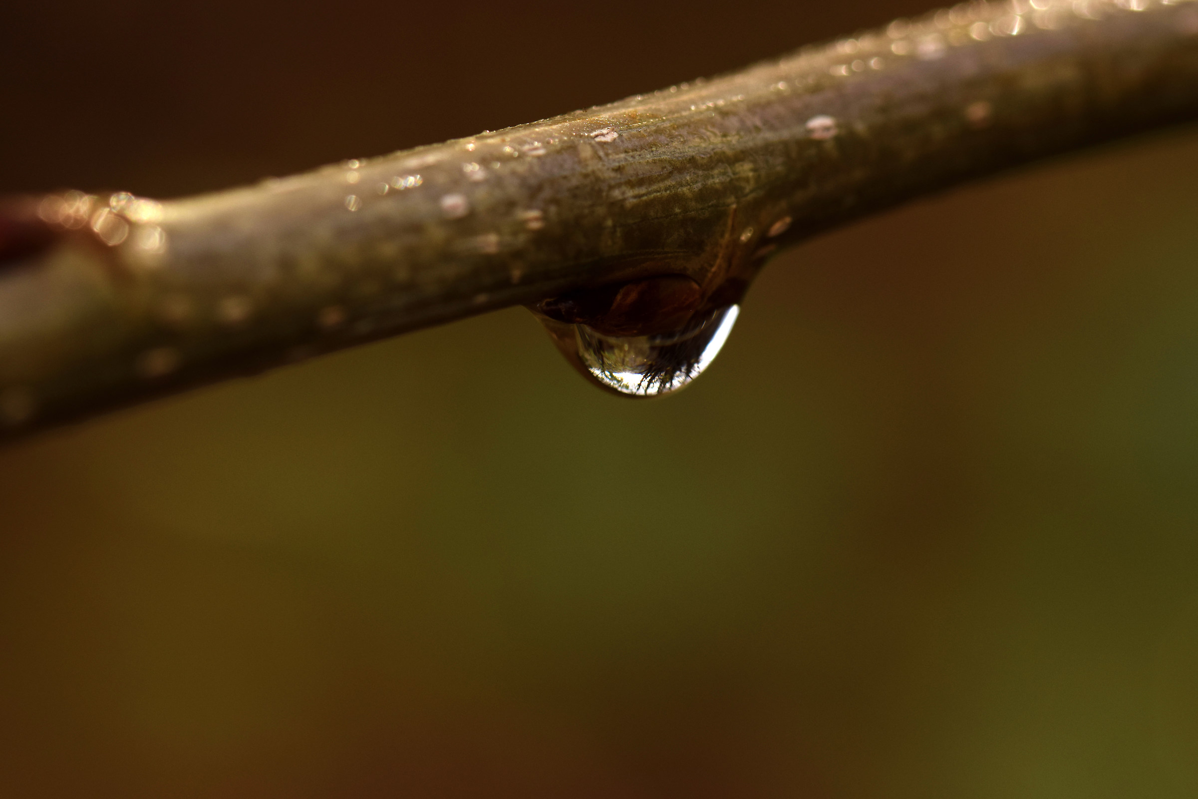 Dentro un piccolo autunno