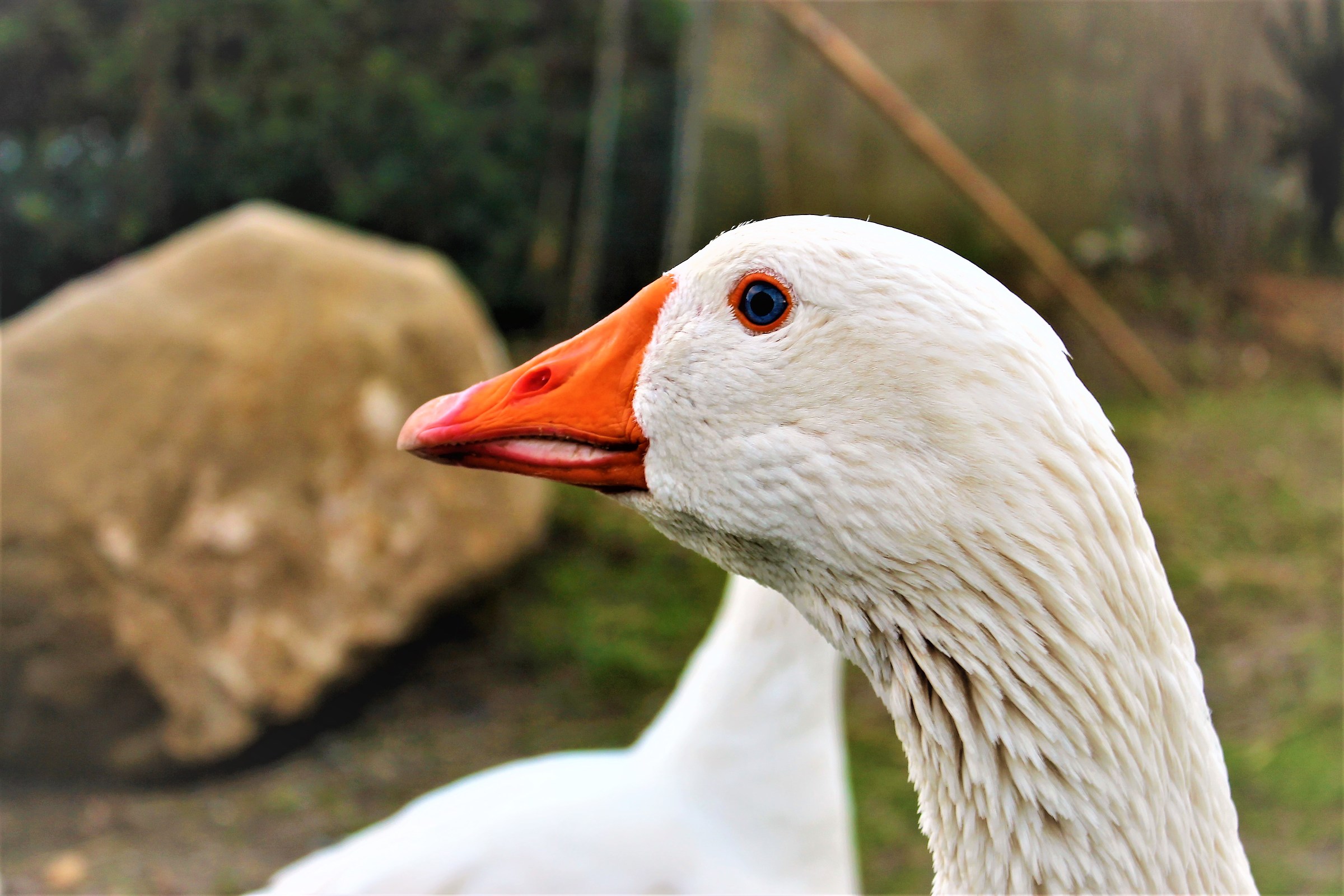 Mi colpì lo sguardo...