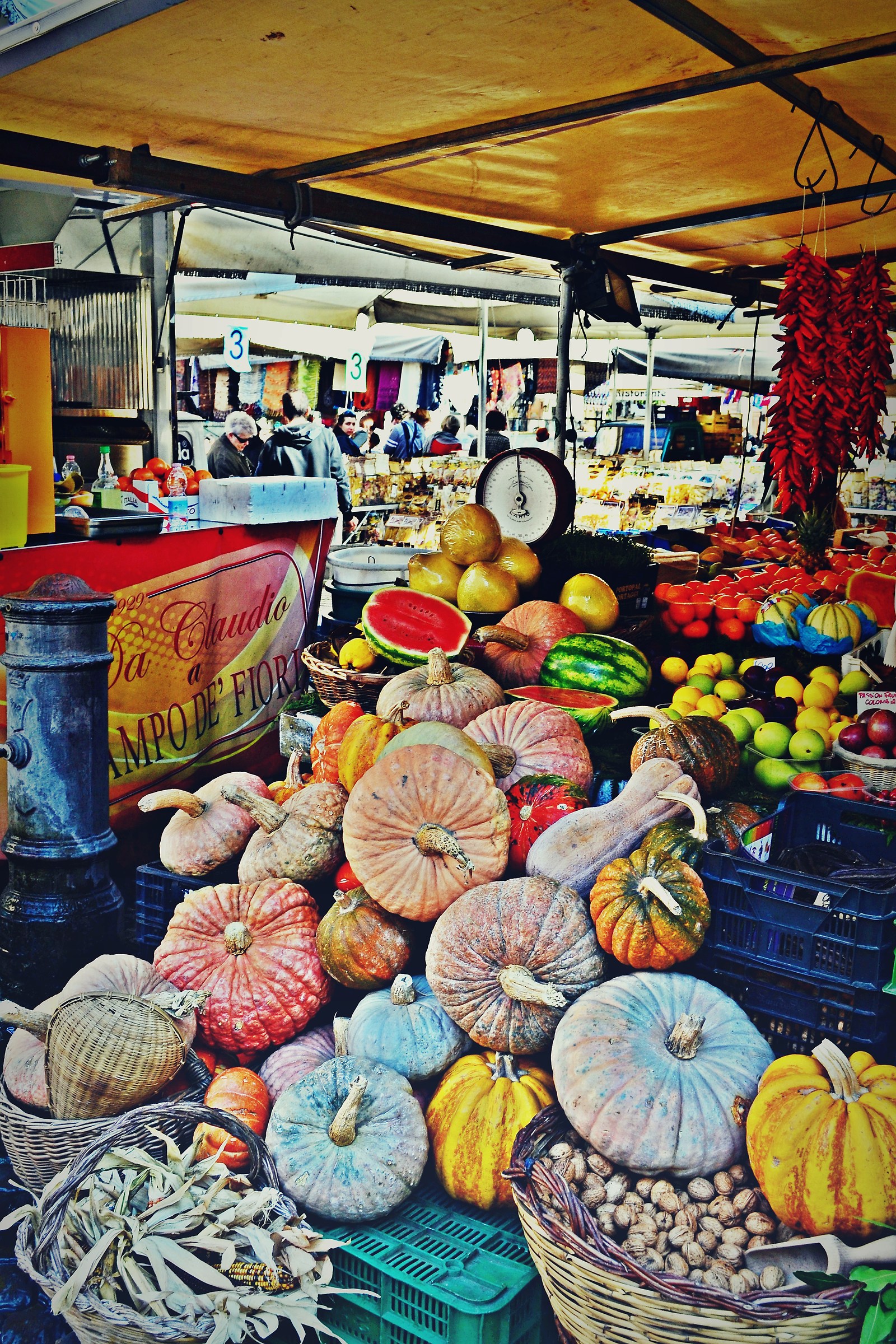 field of flowers of many colors