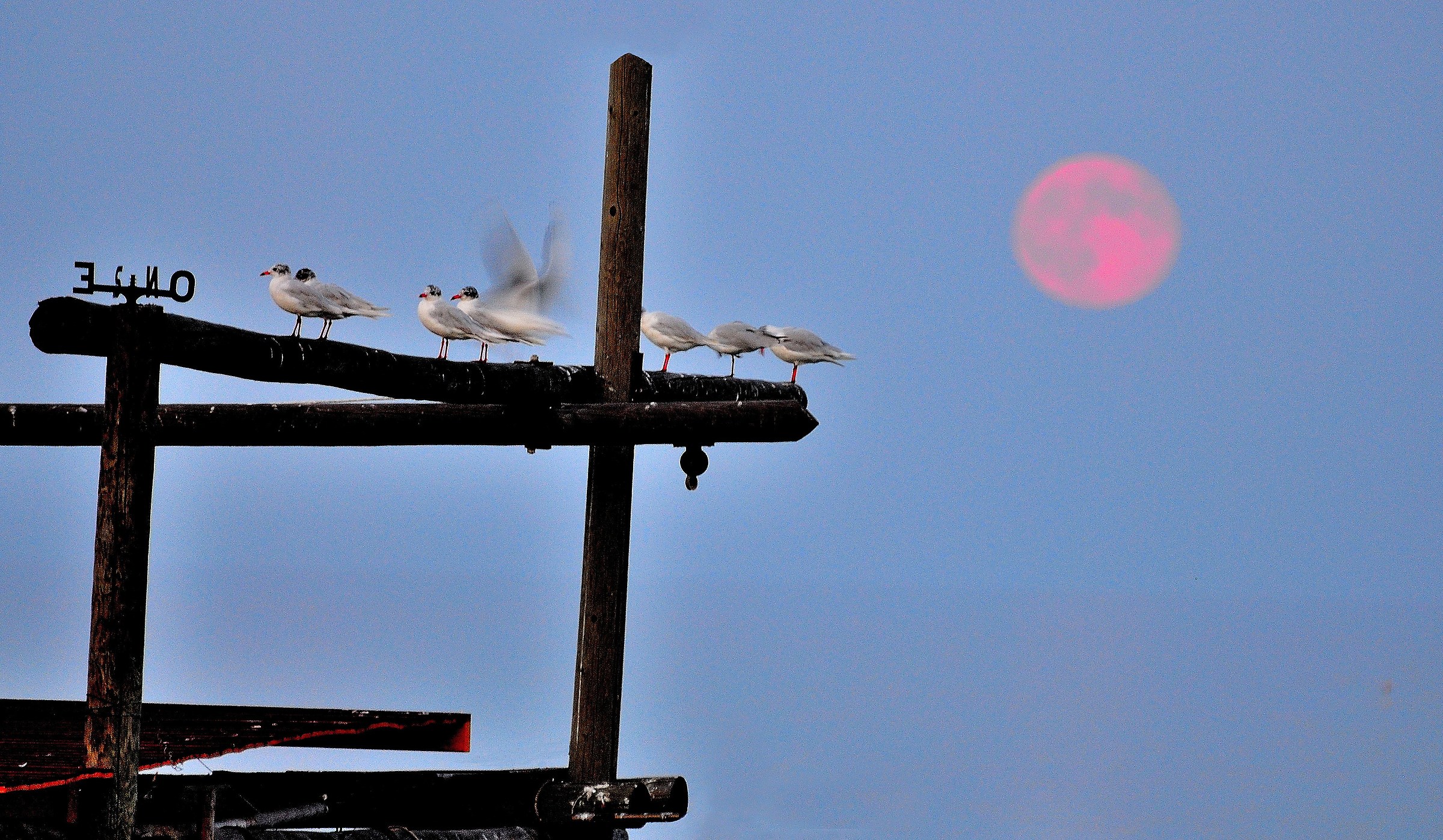 North South East West