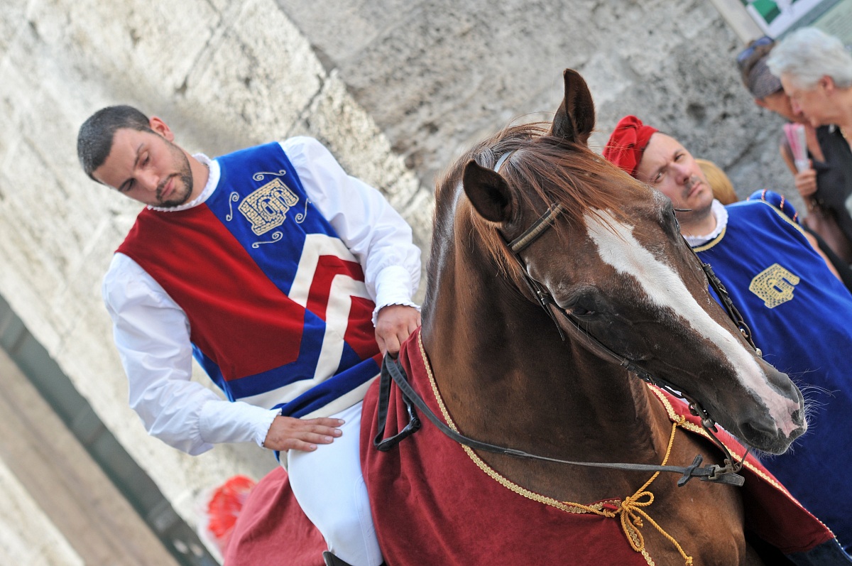 Knight of the district of Porta Romana