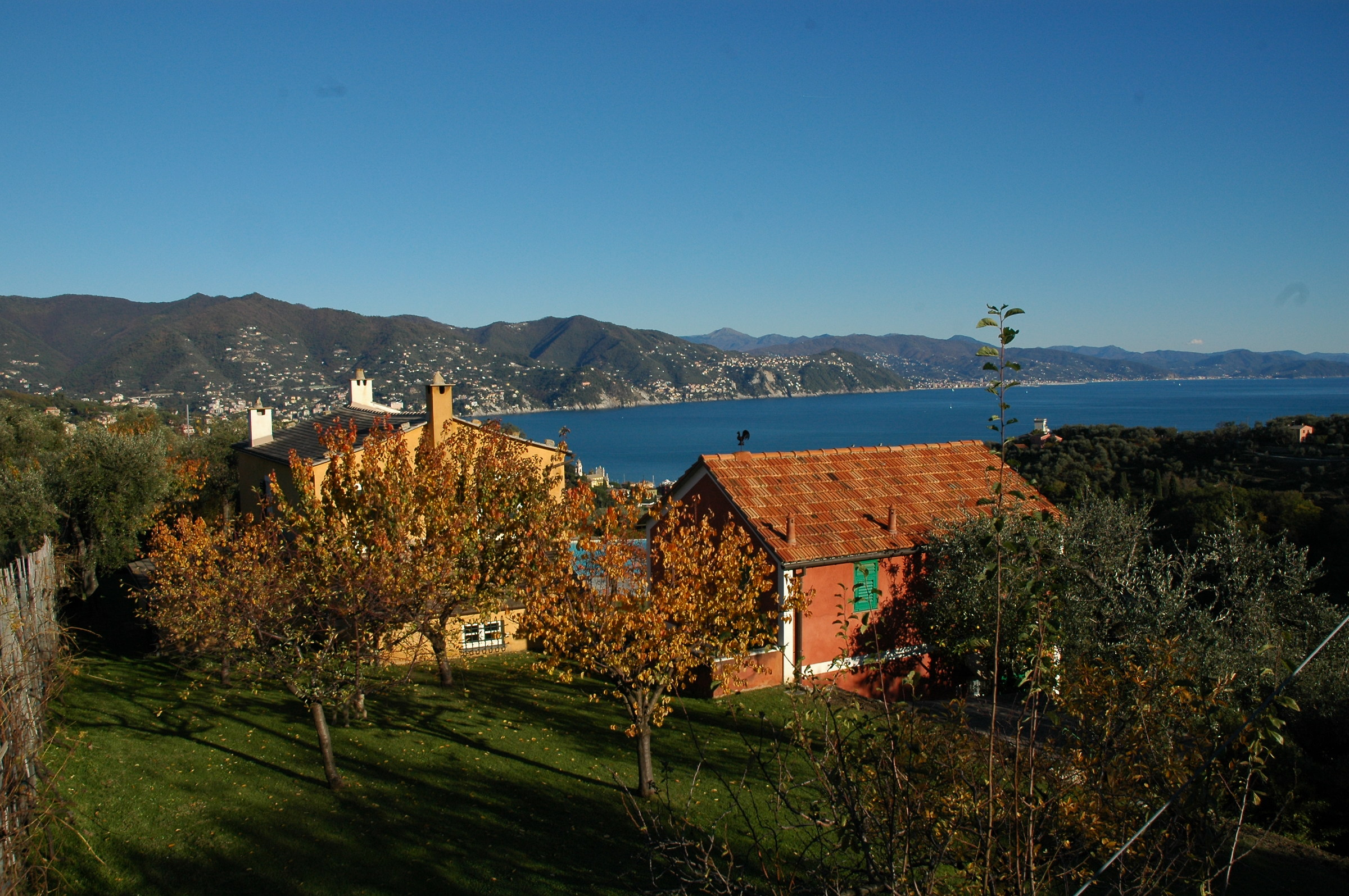 scendendo verso Portofino...