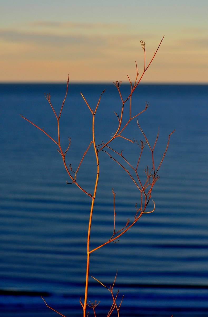 Tramonto con Bonaccia