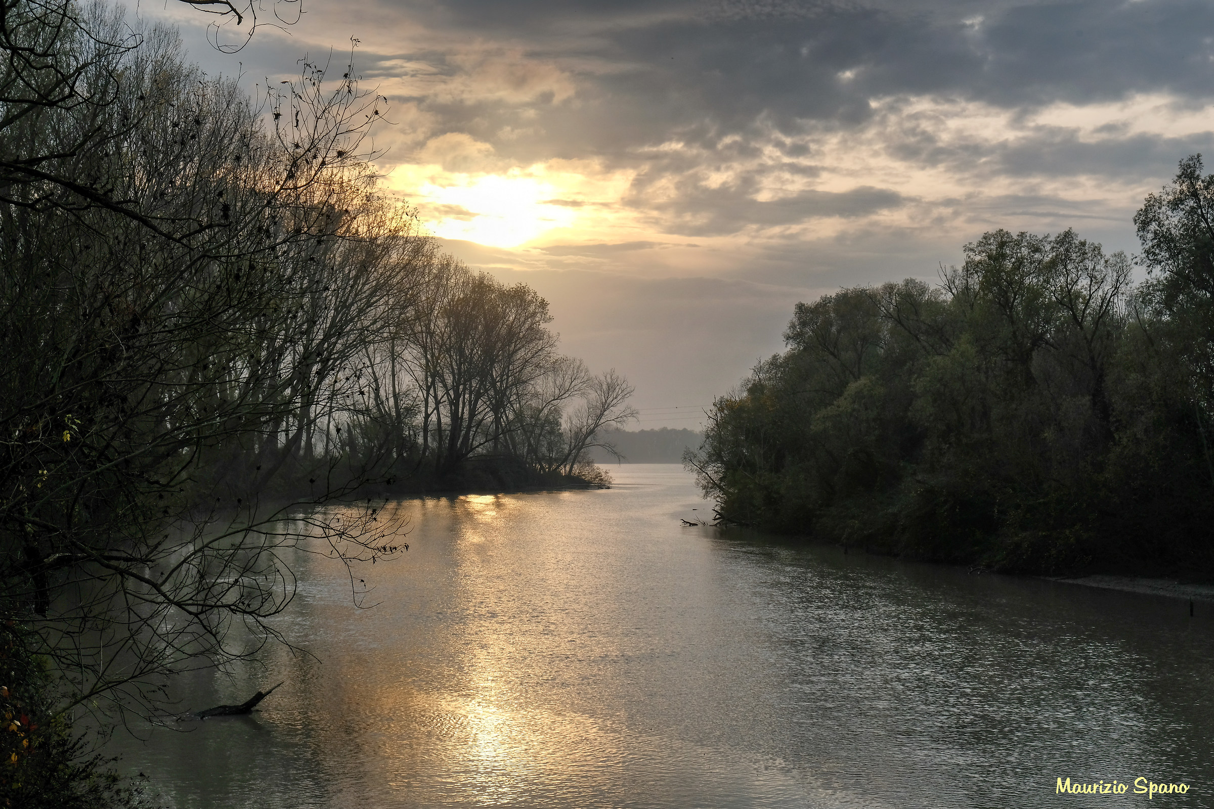 Delta del Po (inizio Po di Maistra)