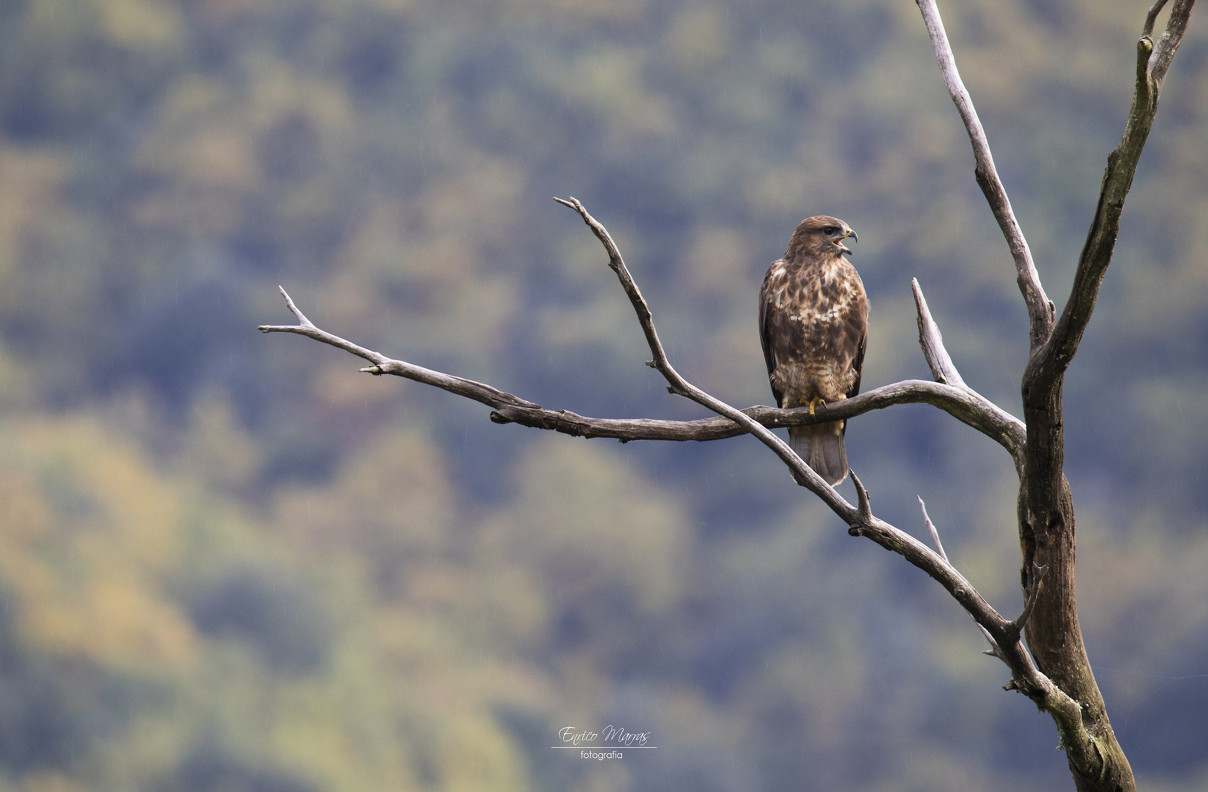 the usual place, exemplary usually