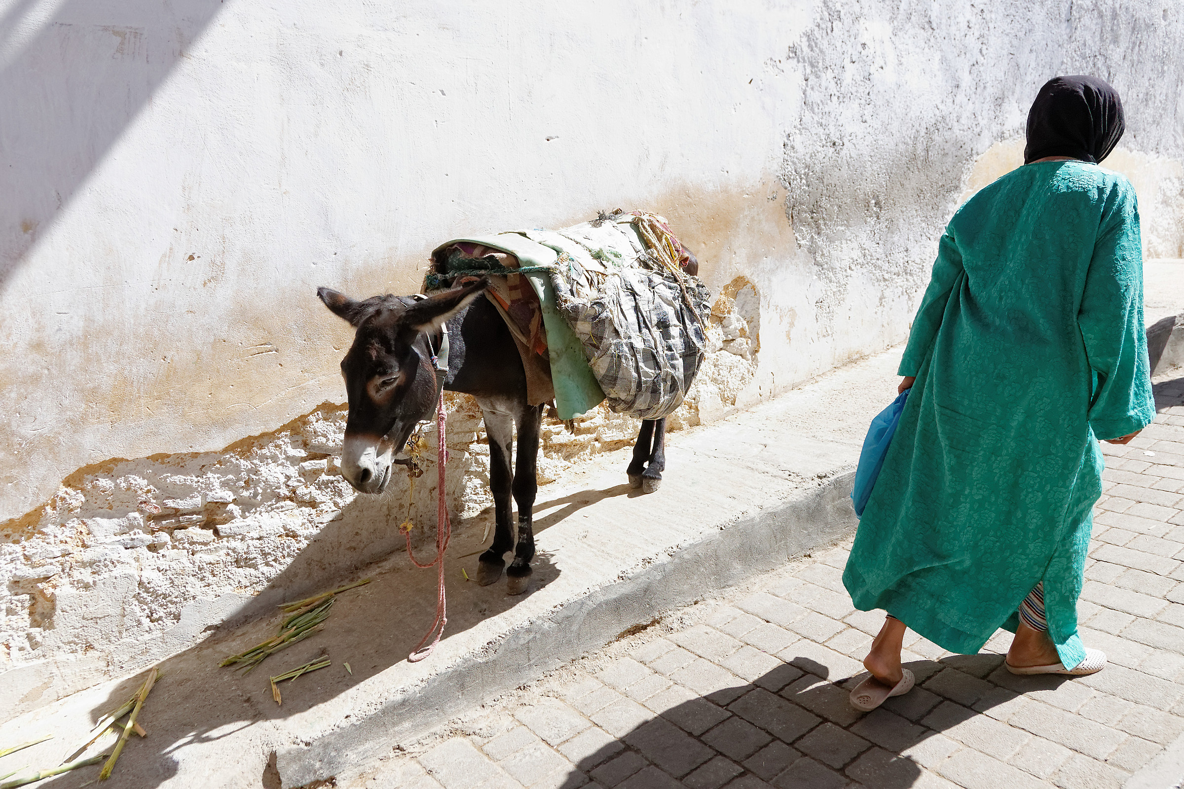 Non si parcheggia sul marciapiede!