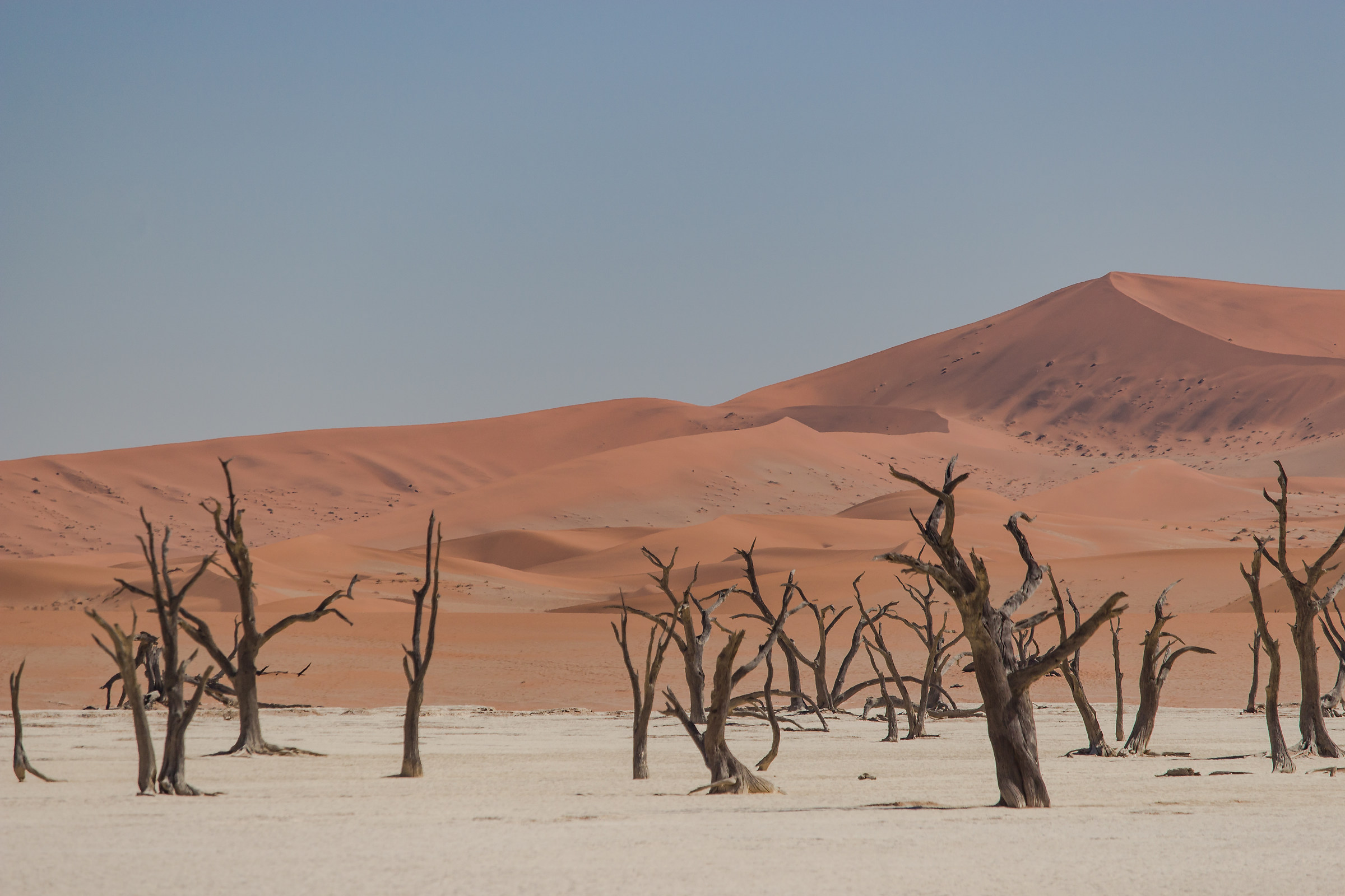 The death brought from the desert