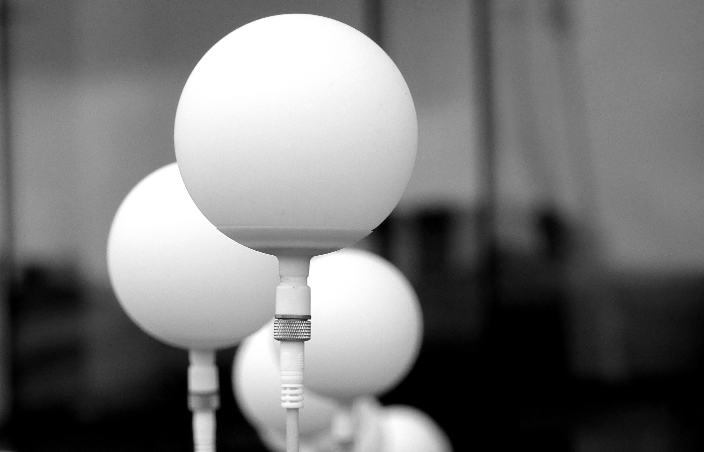 the wind light bulbs