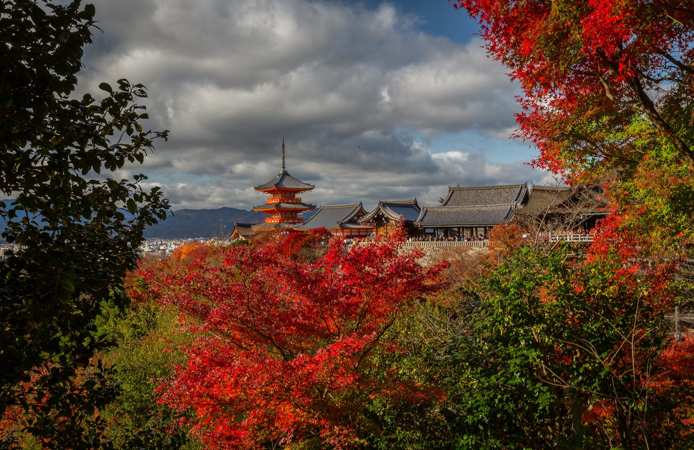 Kiyomizu Temple Kyoto