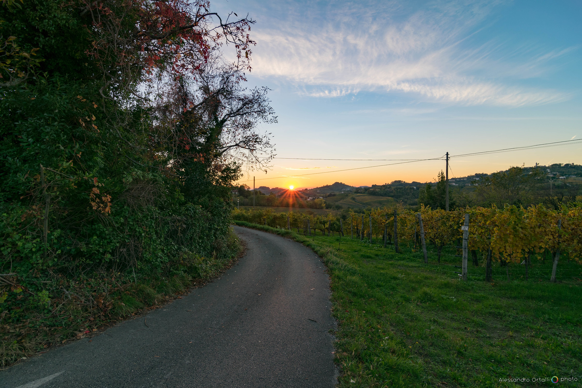 Tramonto sui vigneti
