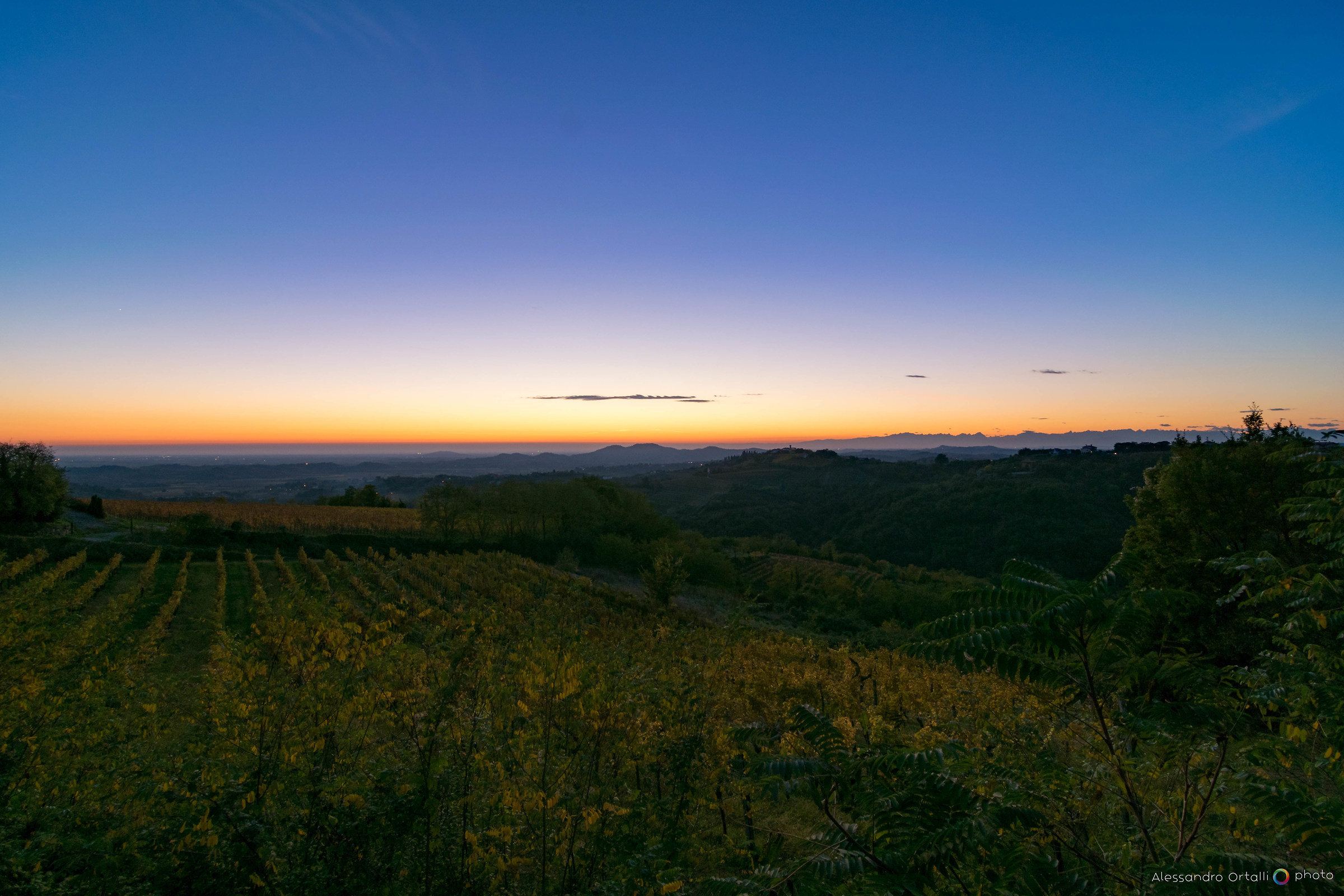 Tramonto sui vigneti