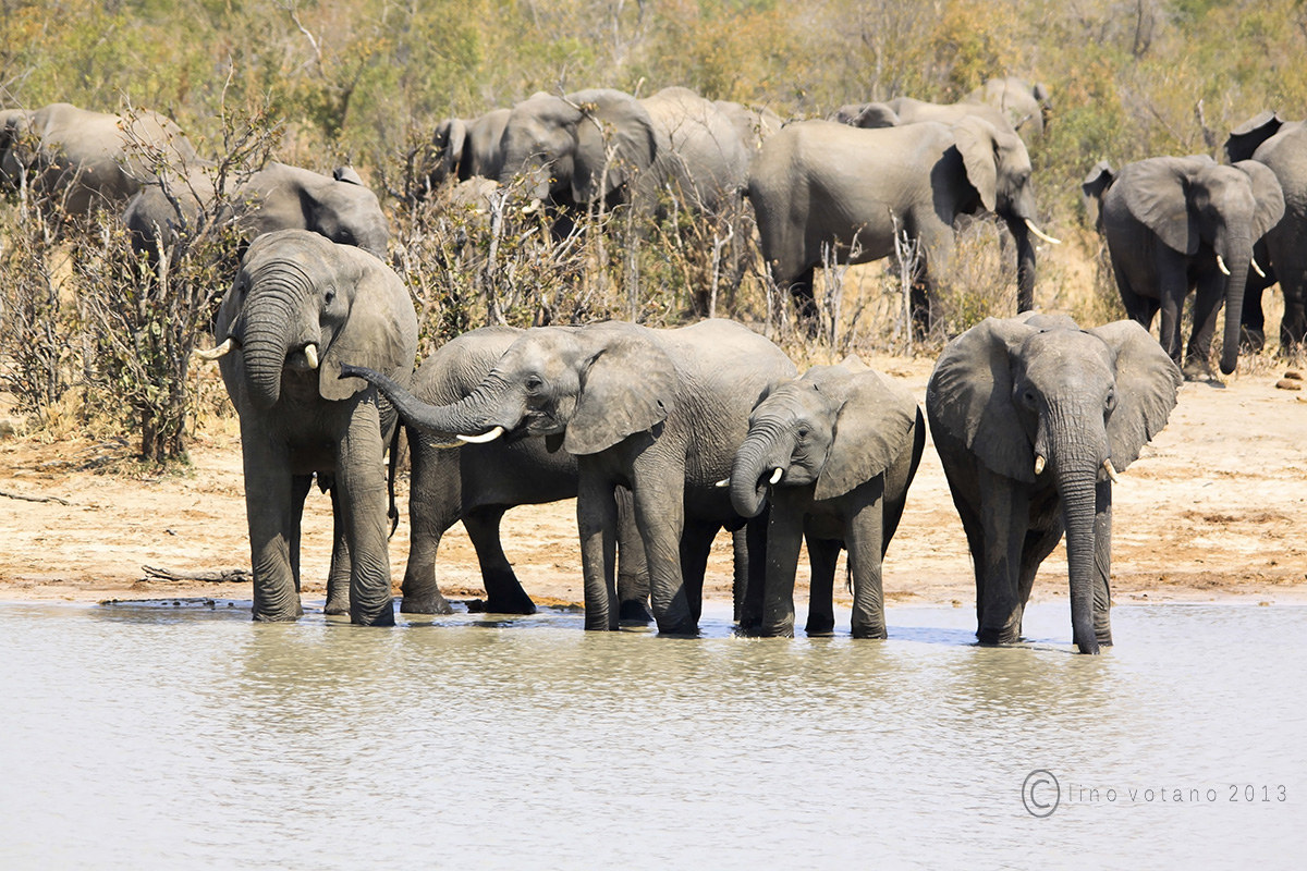 Atmospheres of Africa - Zimbabwe