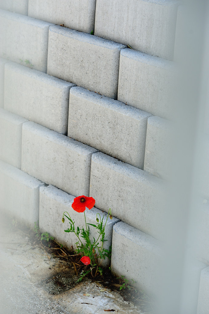 Where you do not expect