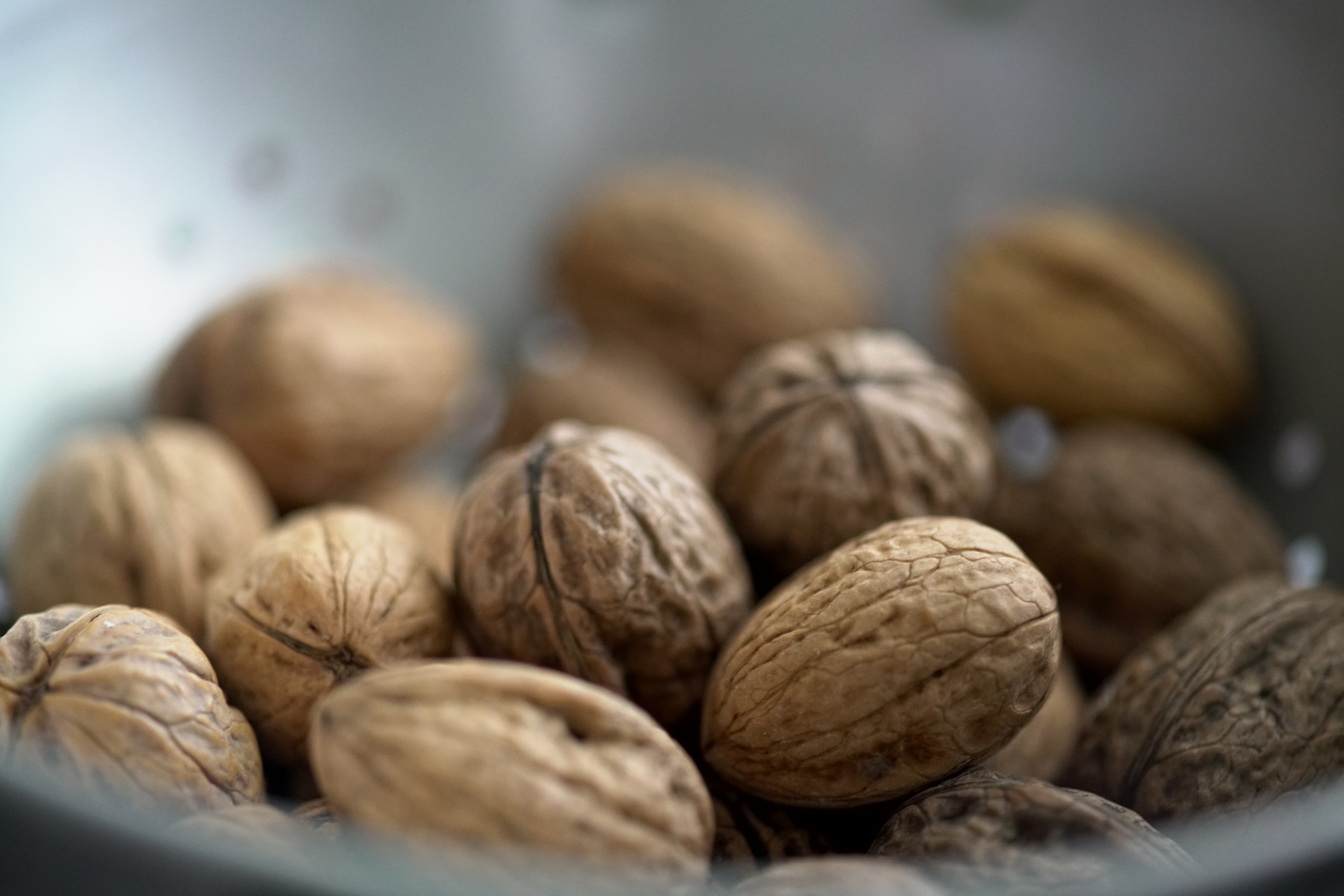 Olympus Zuiko 90mm f / 2.0