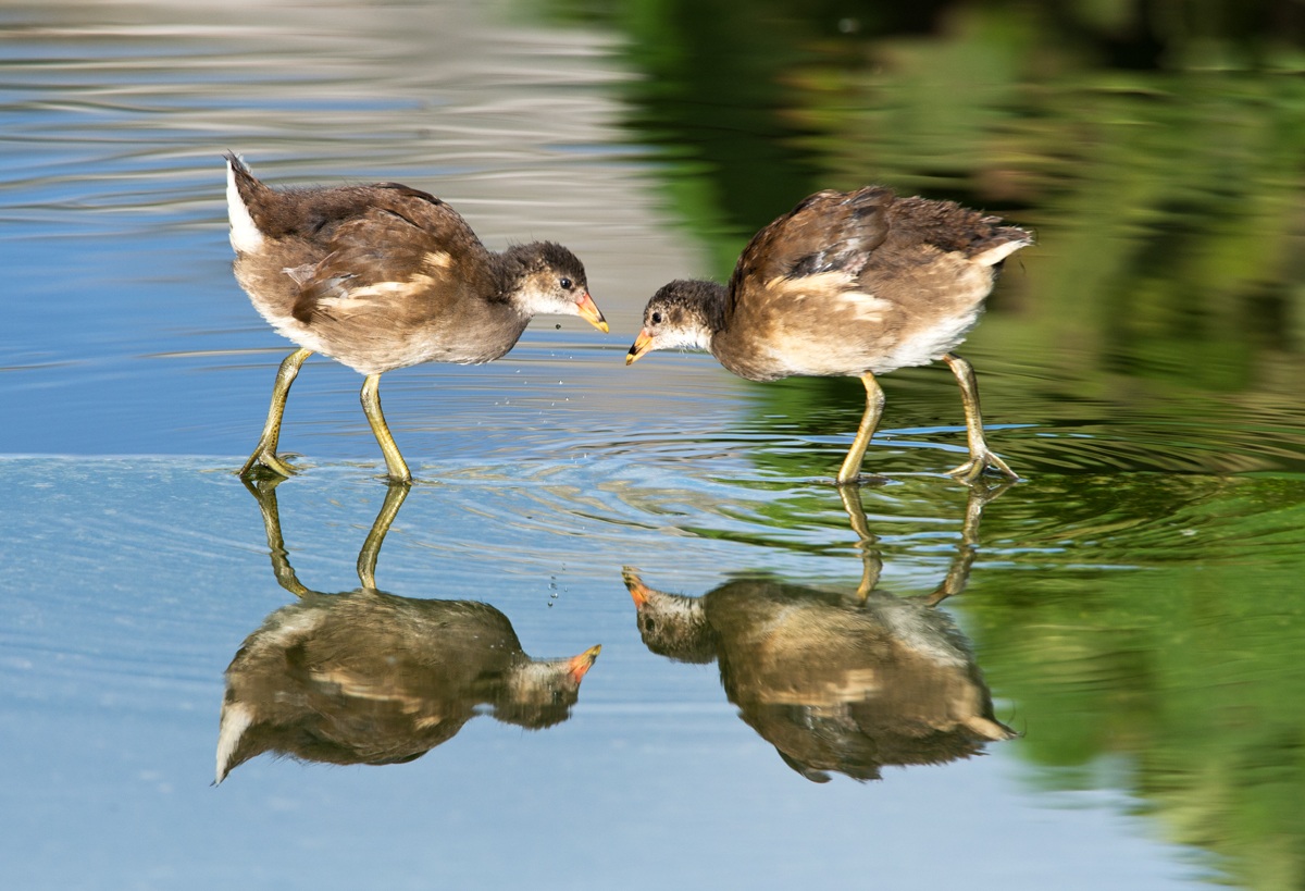 giovani... dite la vostra :)