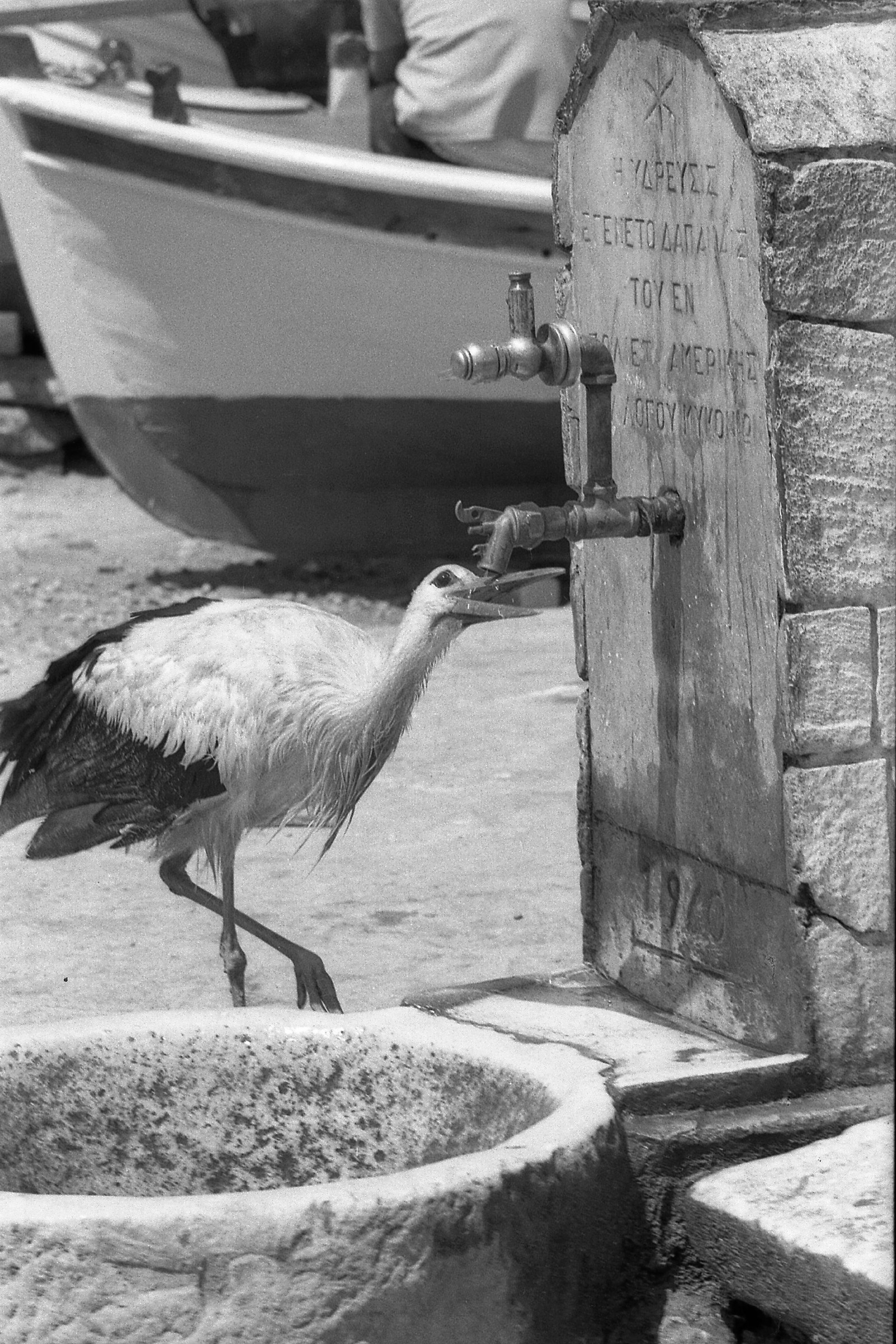 Quenching The Thirst