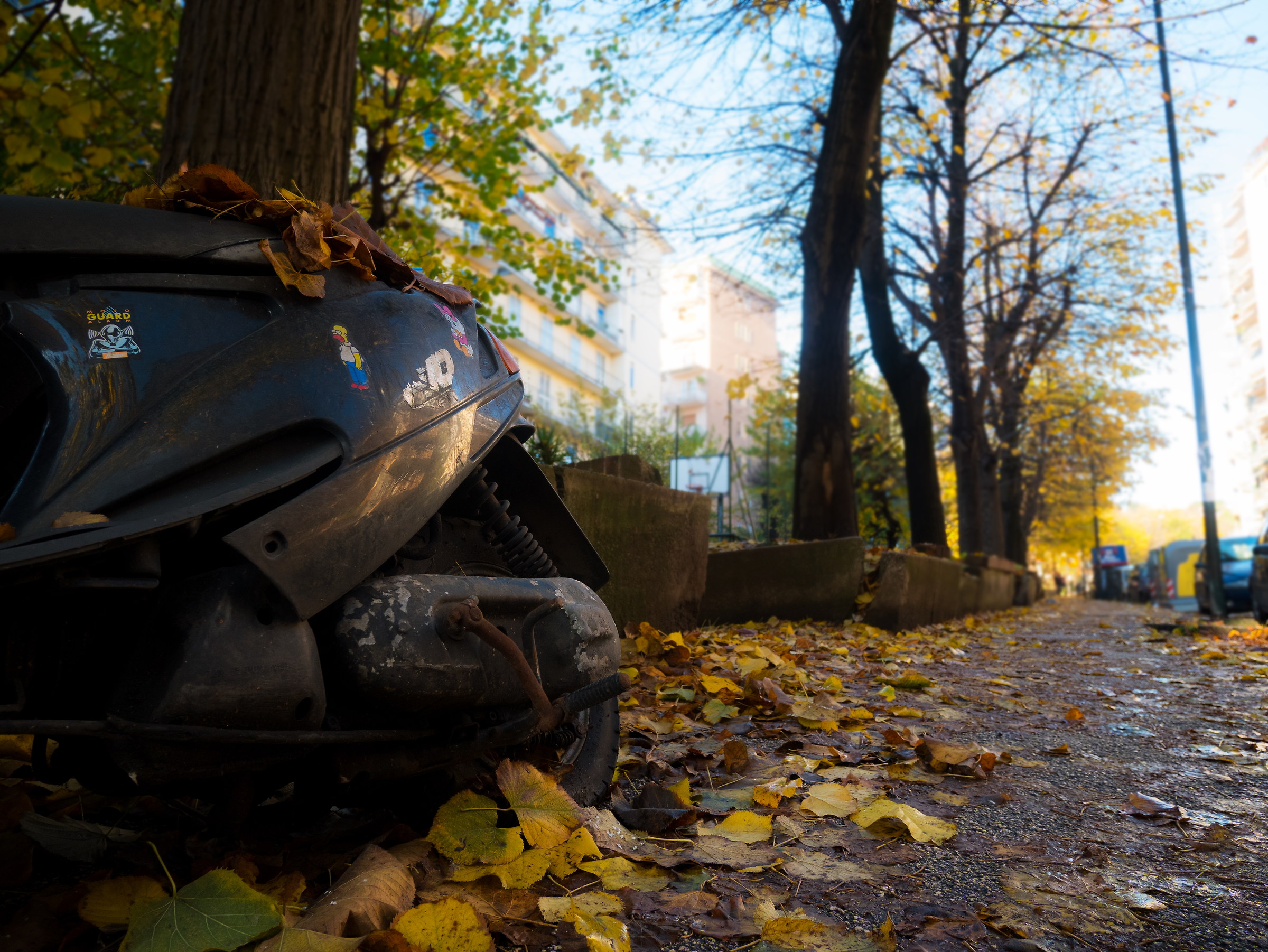 Autumn in the city 1