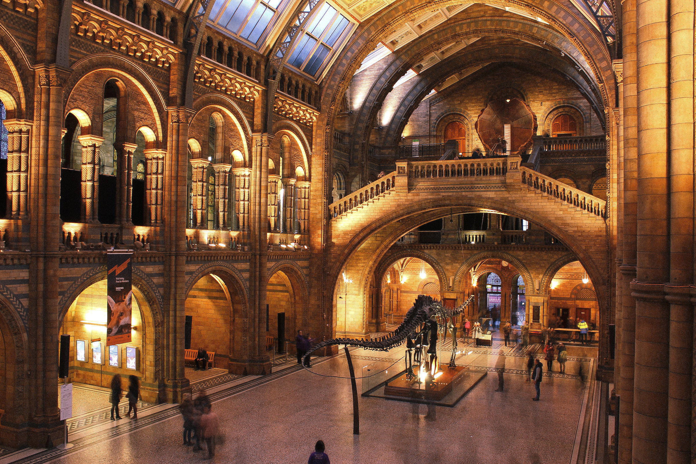 Museum of Natural History