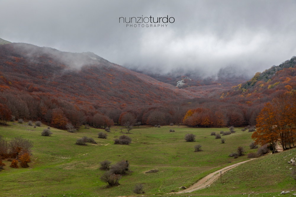 " Parco delle Madonie " , Sicilia.