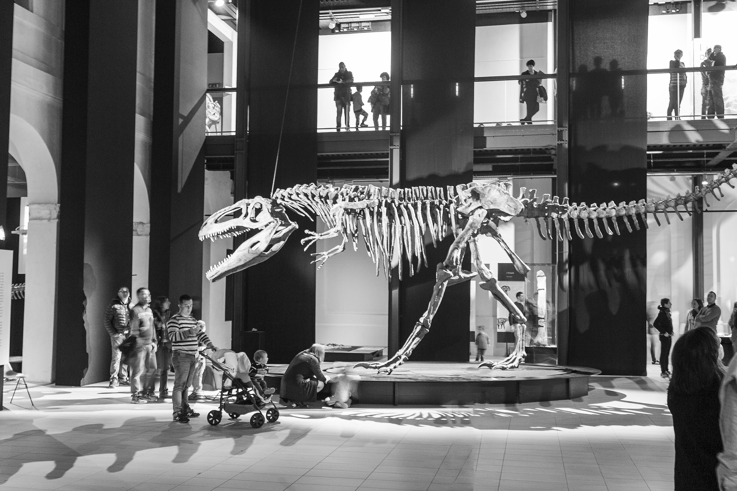 A night at the museum