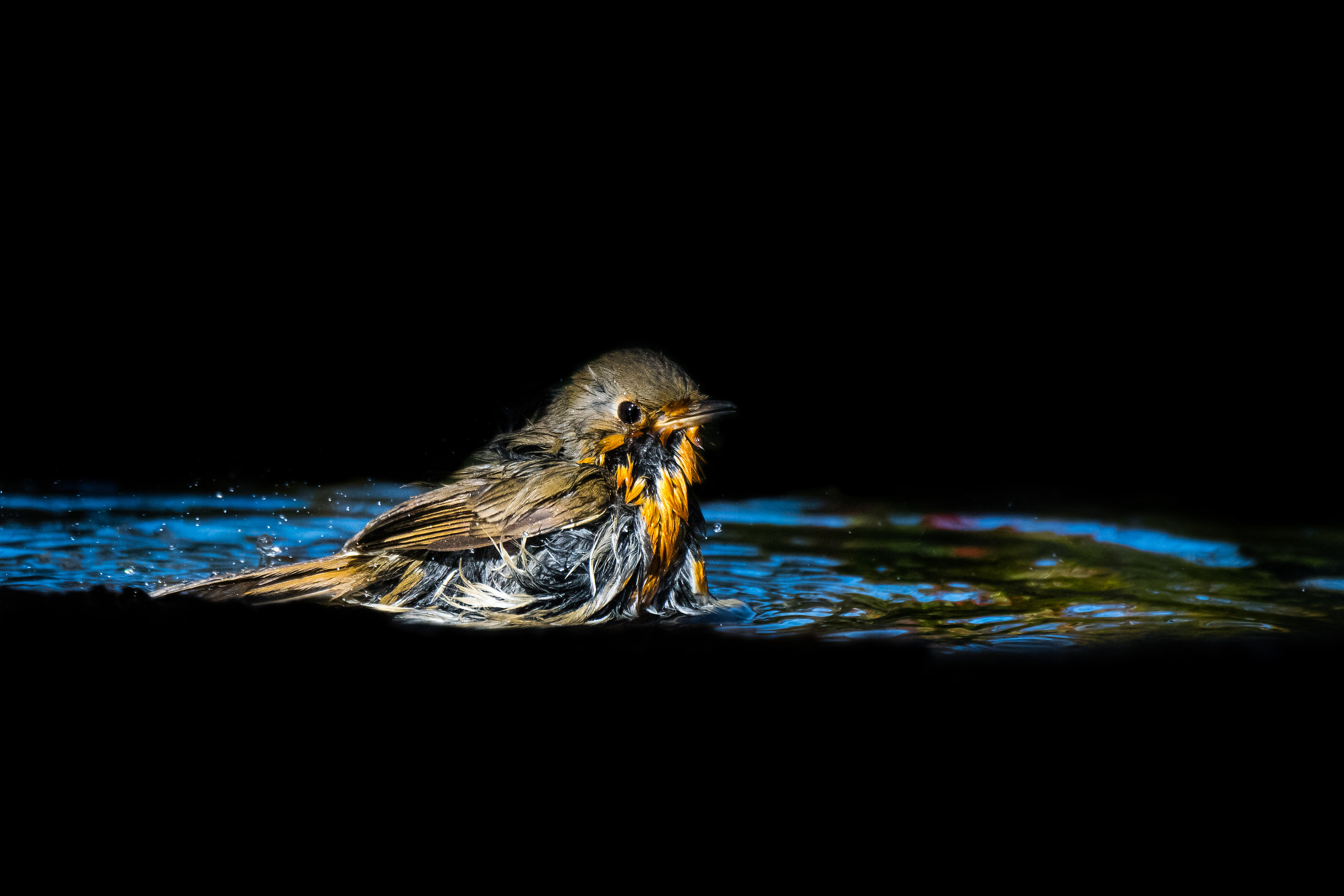 Bath into the darkness