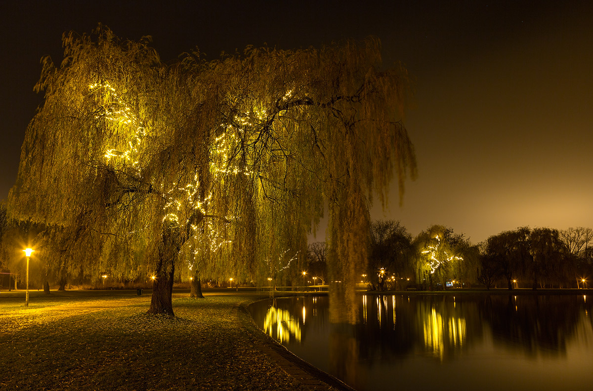 Evening walk through the illuminated park