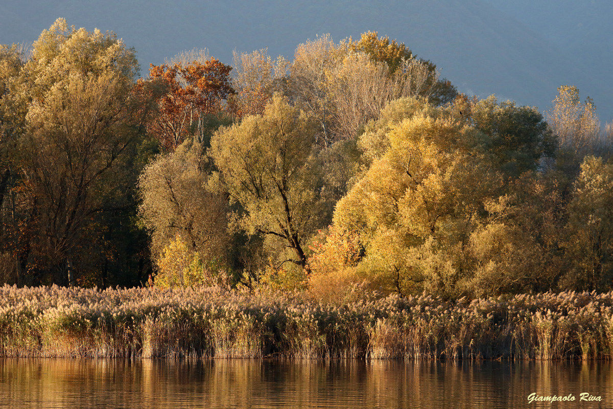 Autumn Lake Pusiano