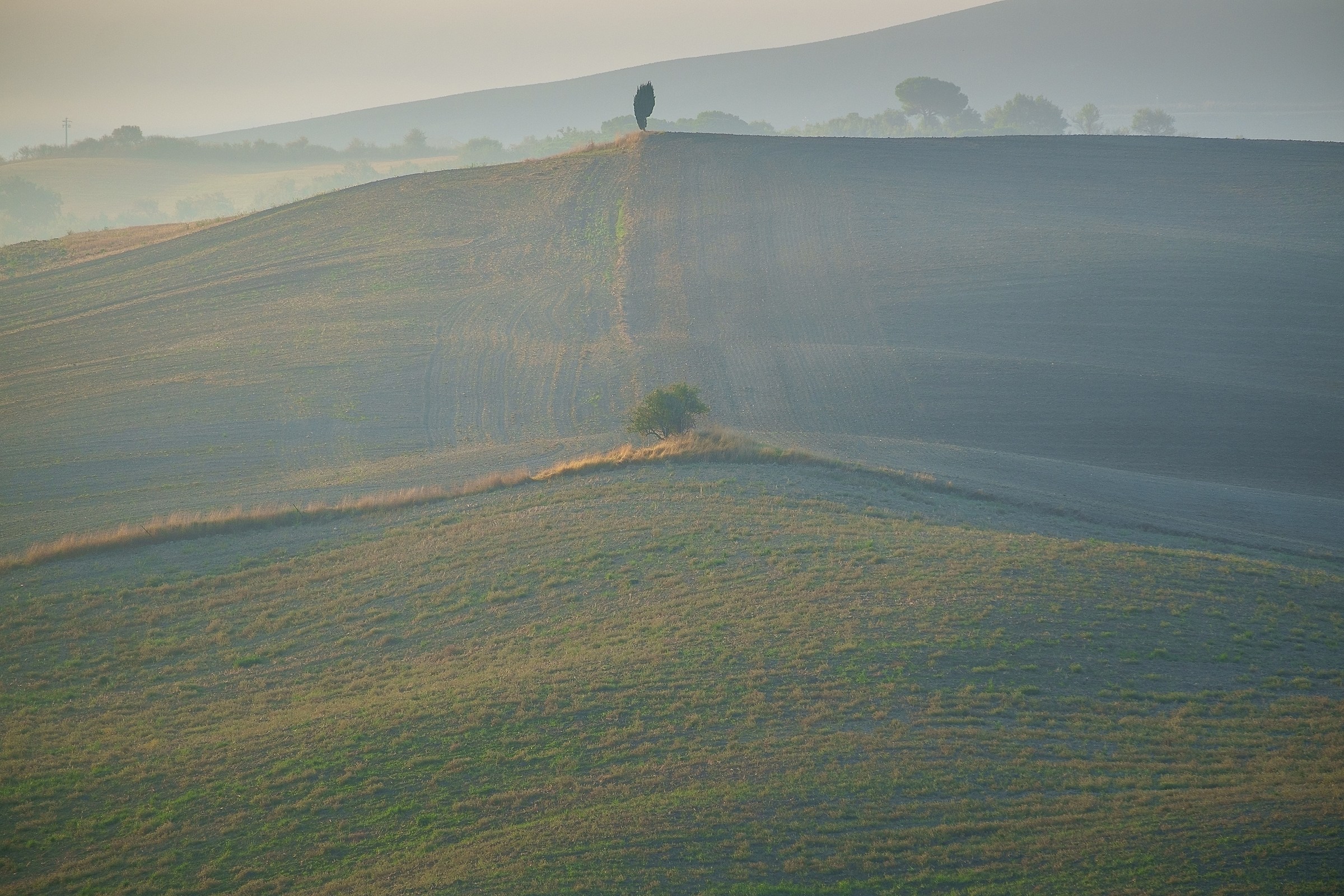Val D'Orcia #3