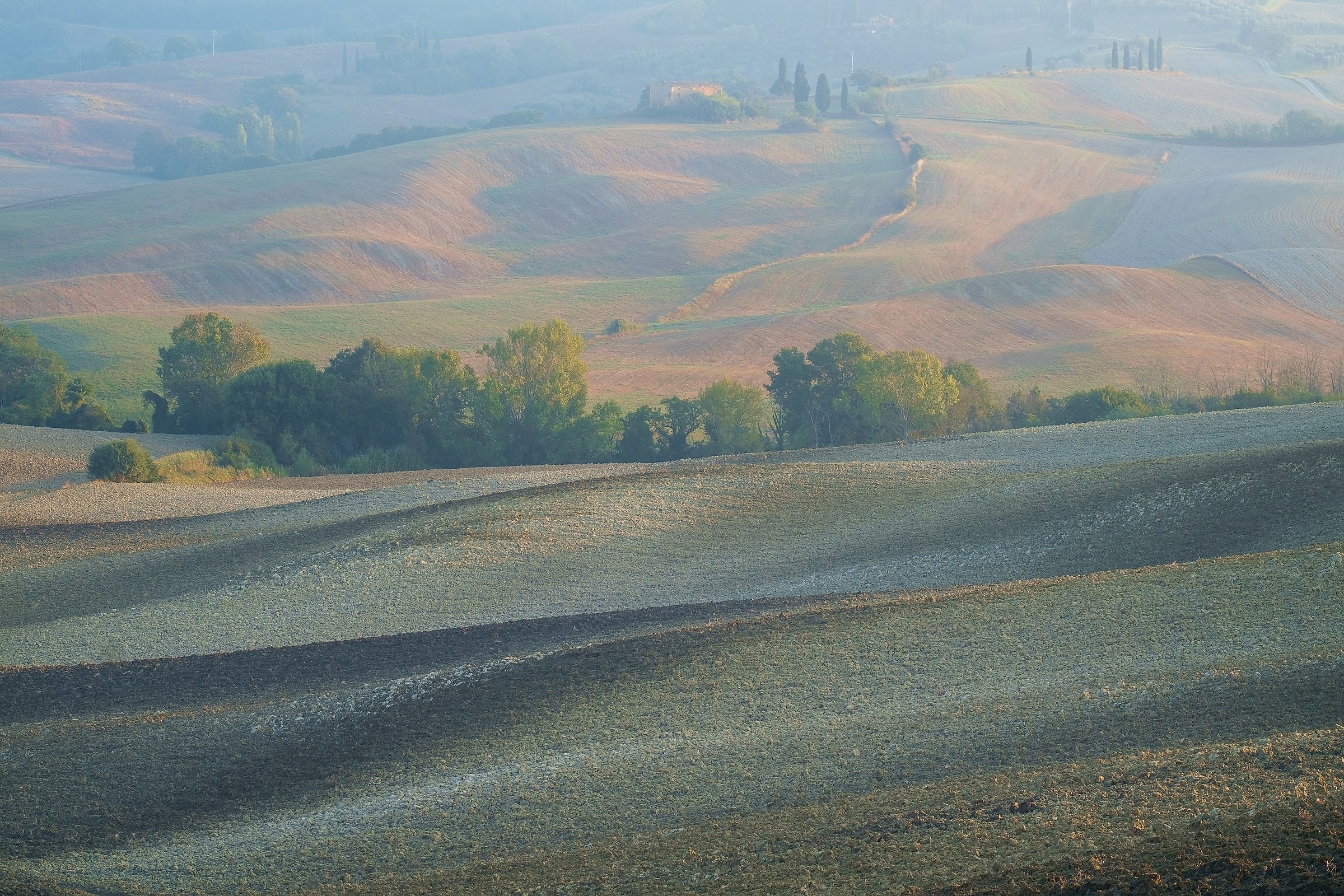Val D'Orcia #4