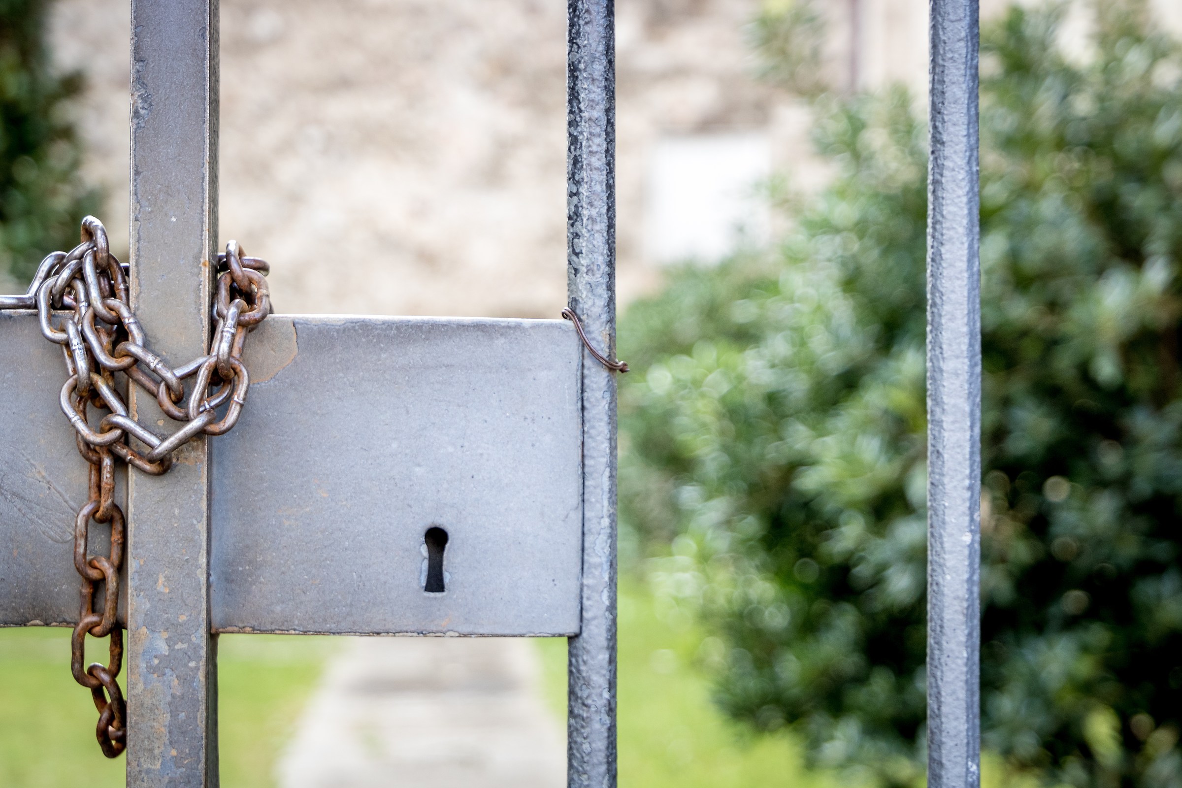 Prime foto con la reflex - sfuocato