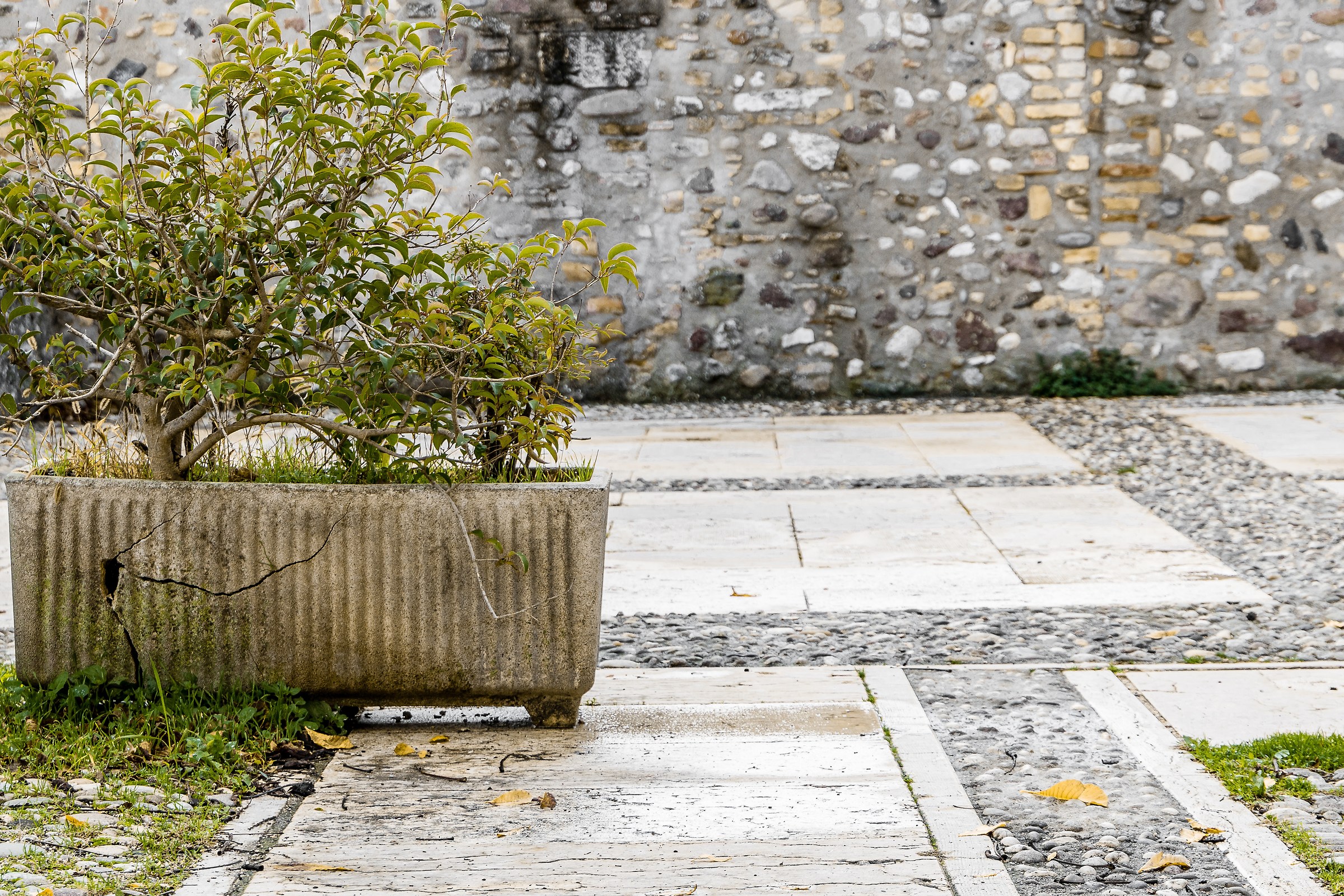 Prime foto con la reflex - sfondo