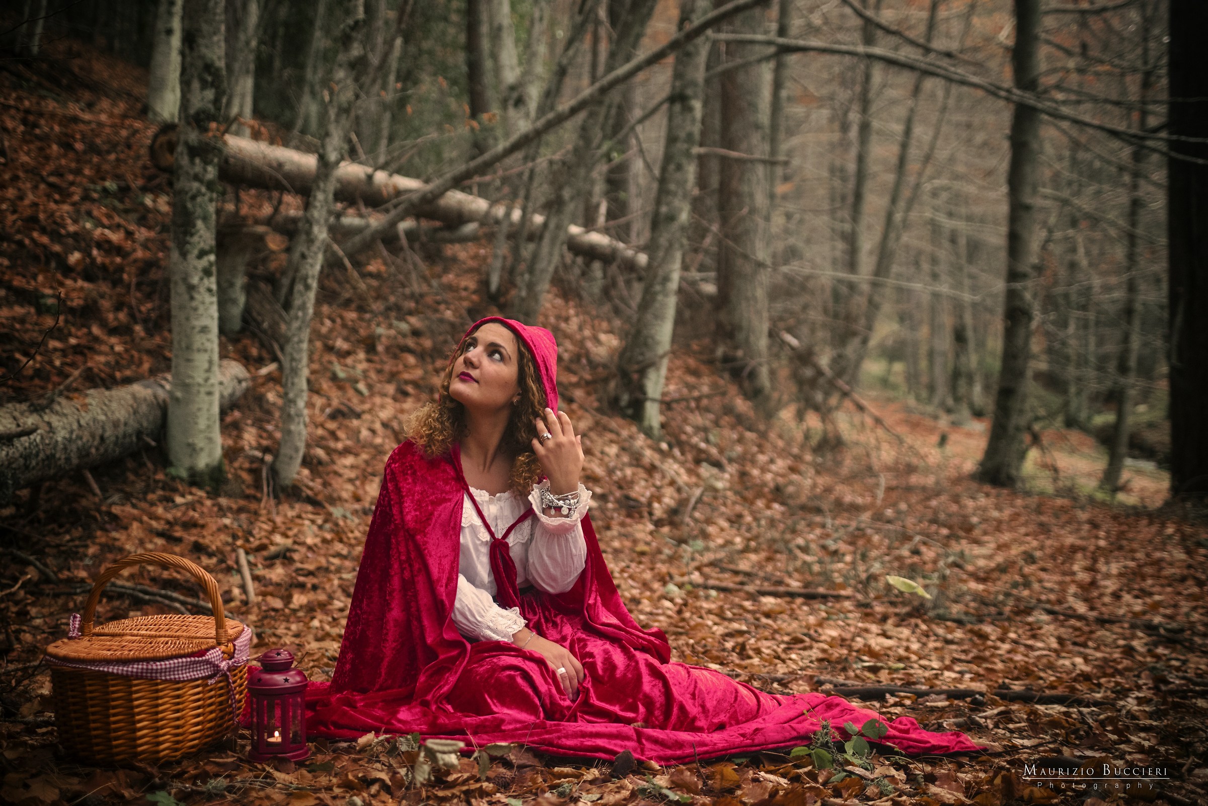 Little Red Riding Hood