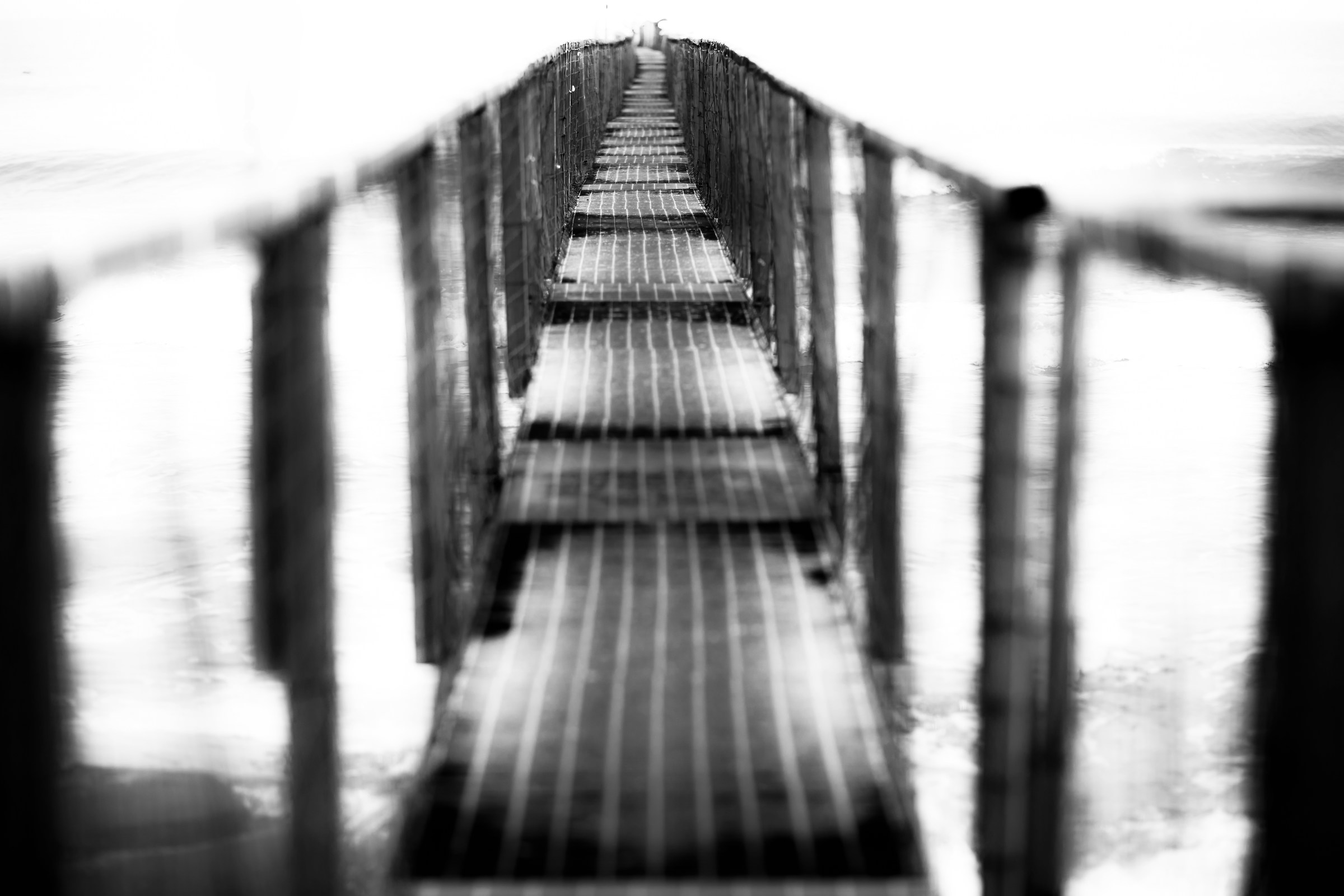 The past, the present and the future ...