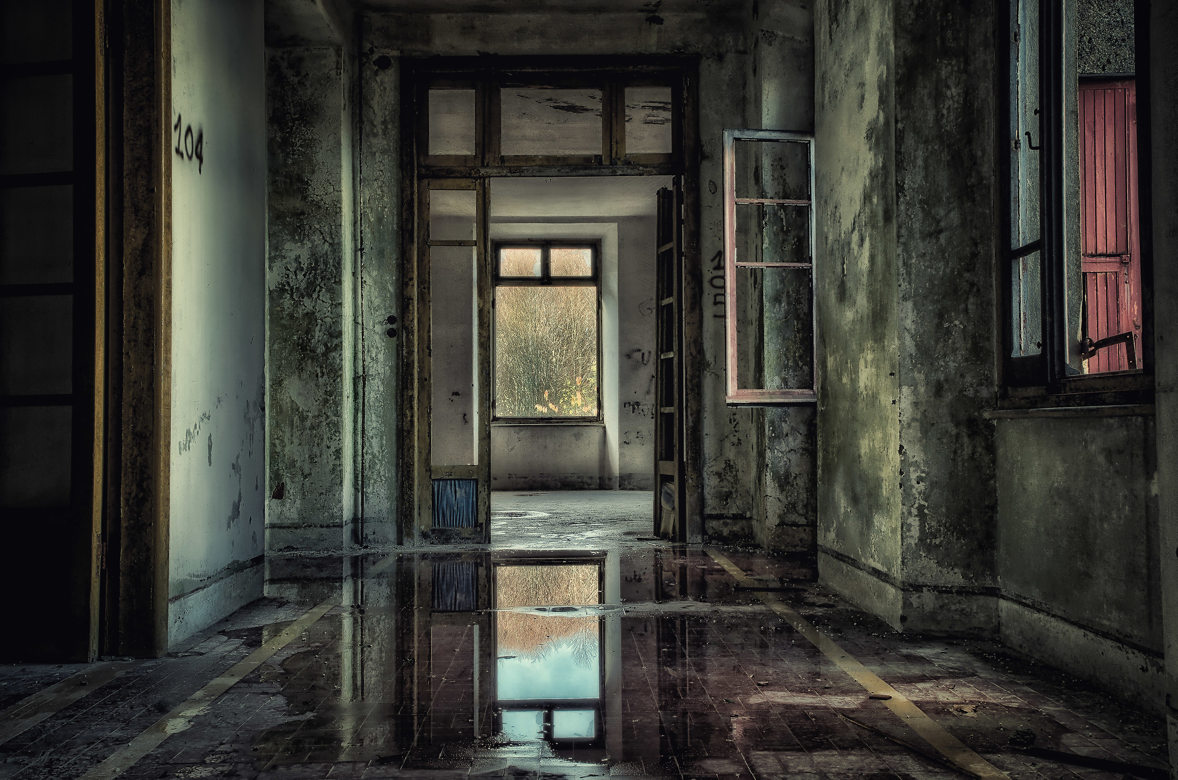 RIFLESSURBEX...Colonia D.