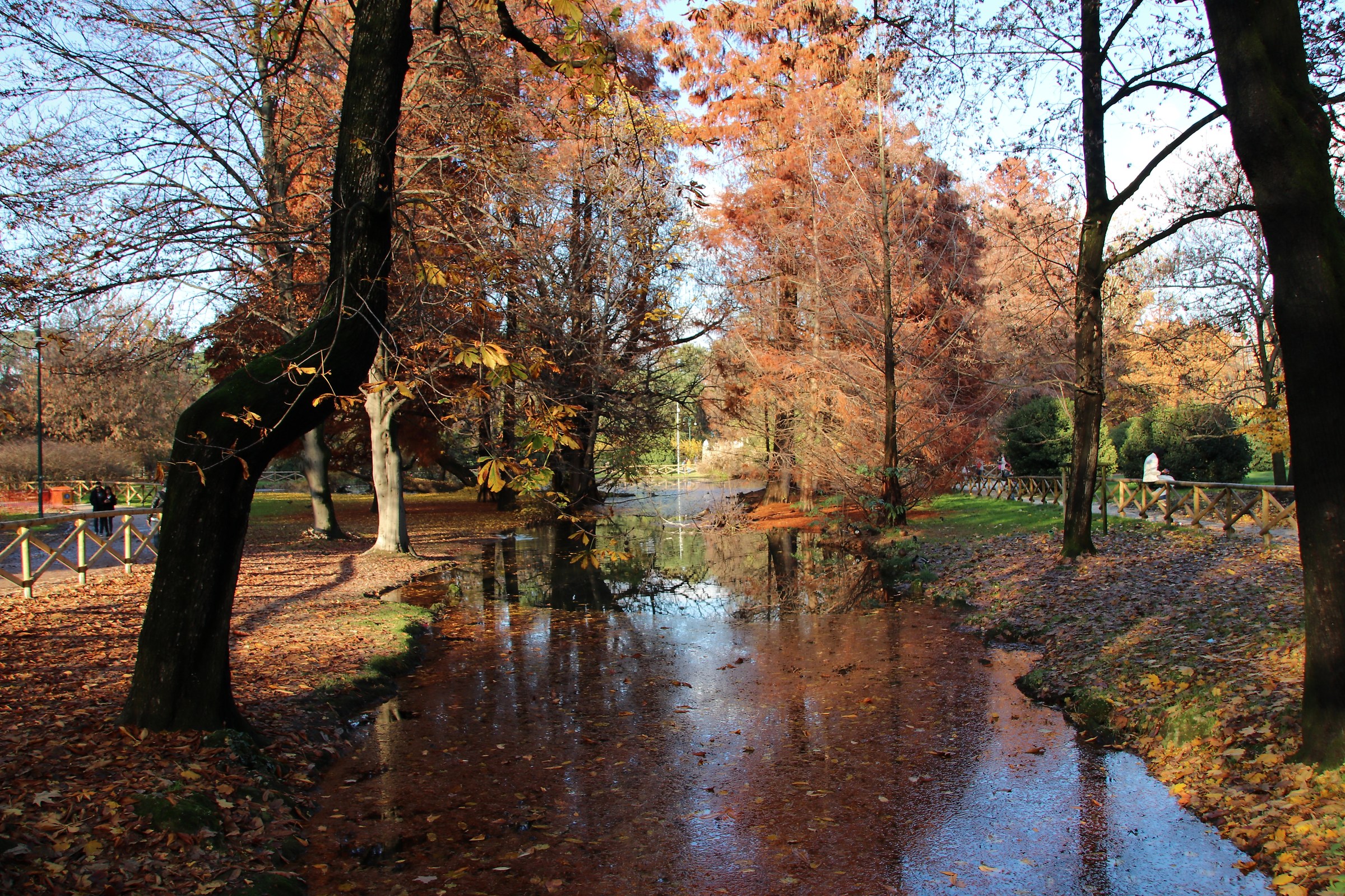 Milan Parco Sempione. autumn 2016