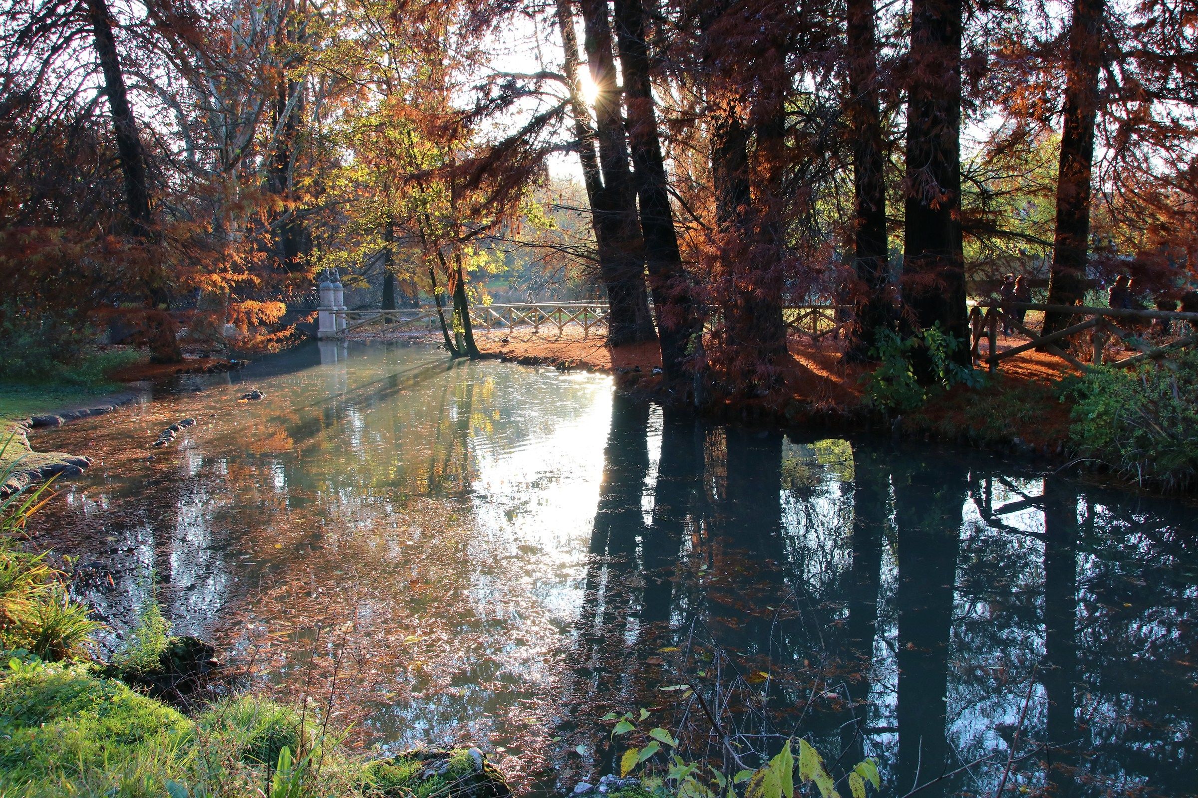 Milan Parco Sempione. autumn 2016