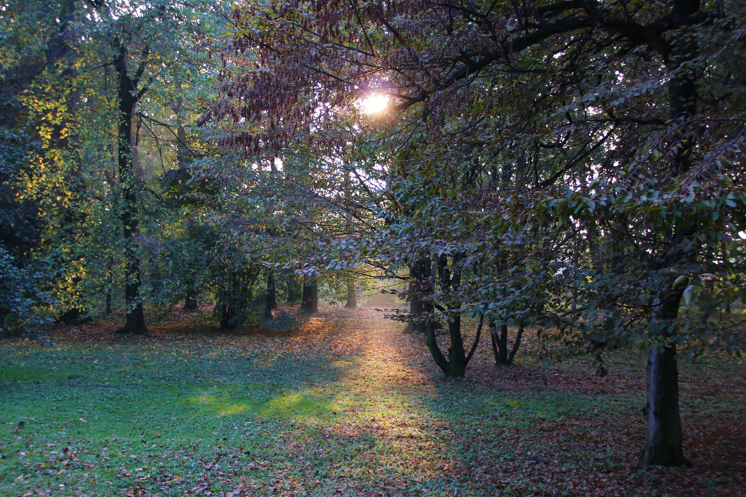 Park Villa Annoni. Cuggiono