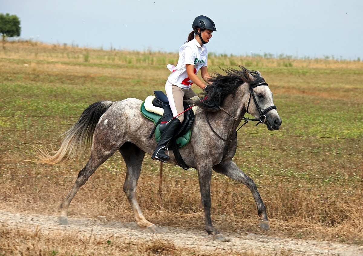 Endurance a Tuili - Sardegna