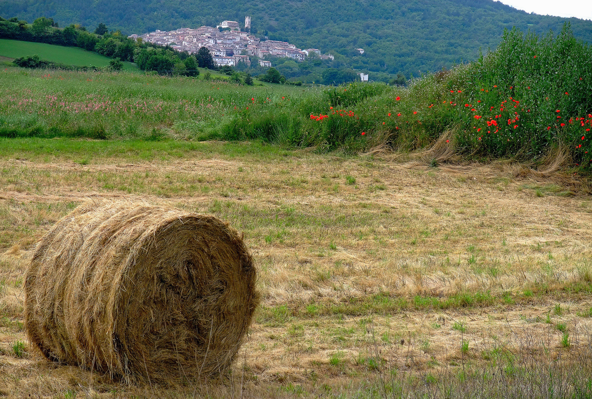 Piana di Navelli (Aq) -Tussio