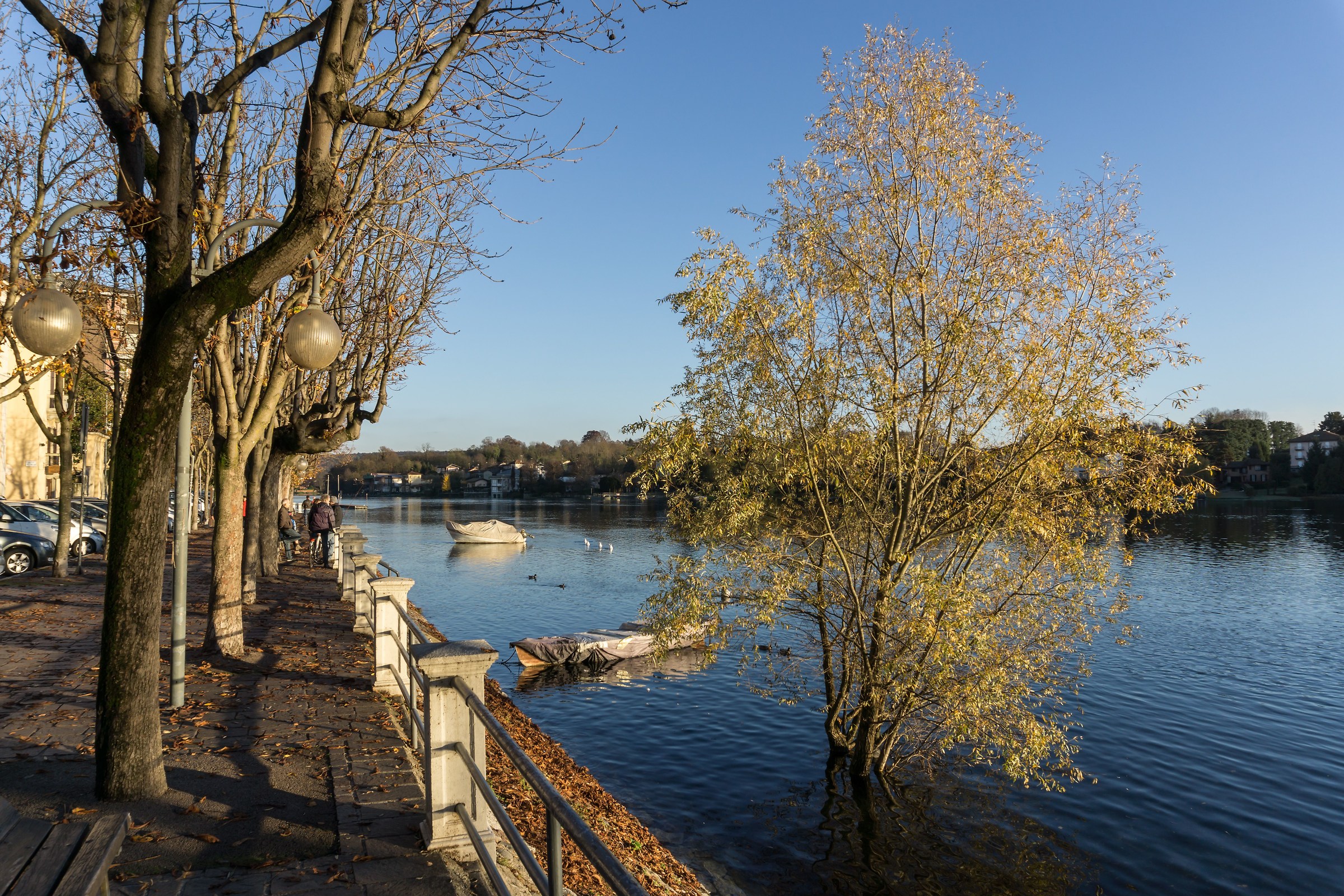 Saturday in late November - 1